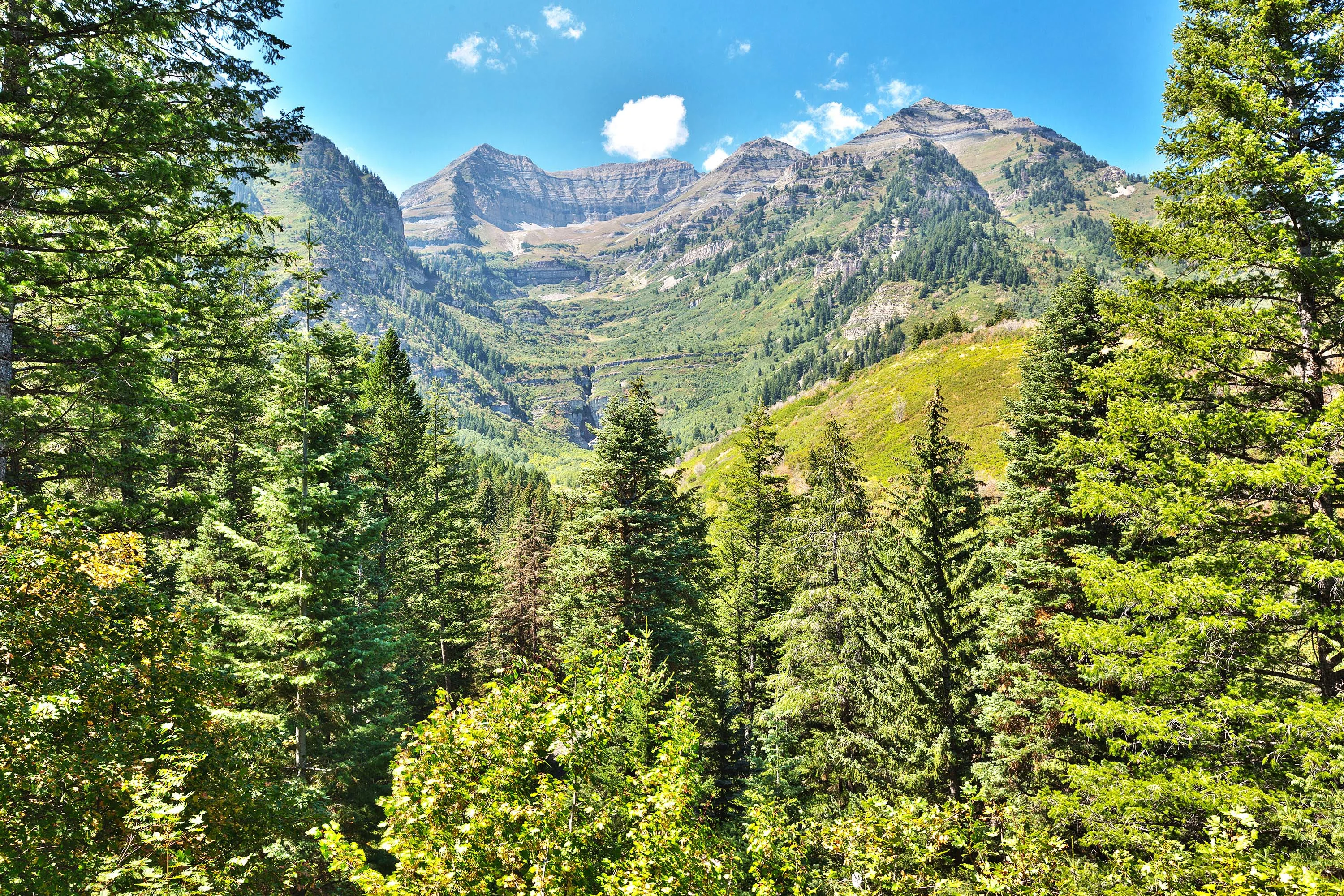 2999 E. Ridgetop Road, Sundance, Utah 84604 - 2999-e-ridgetop-road-sundance-utah24_xo1pwq