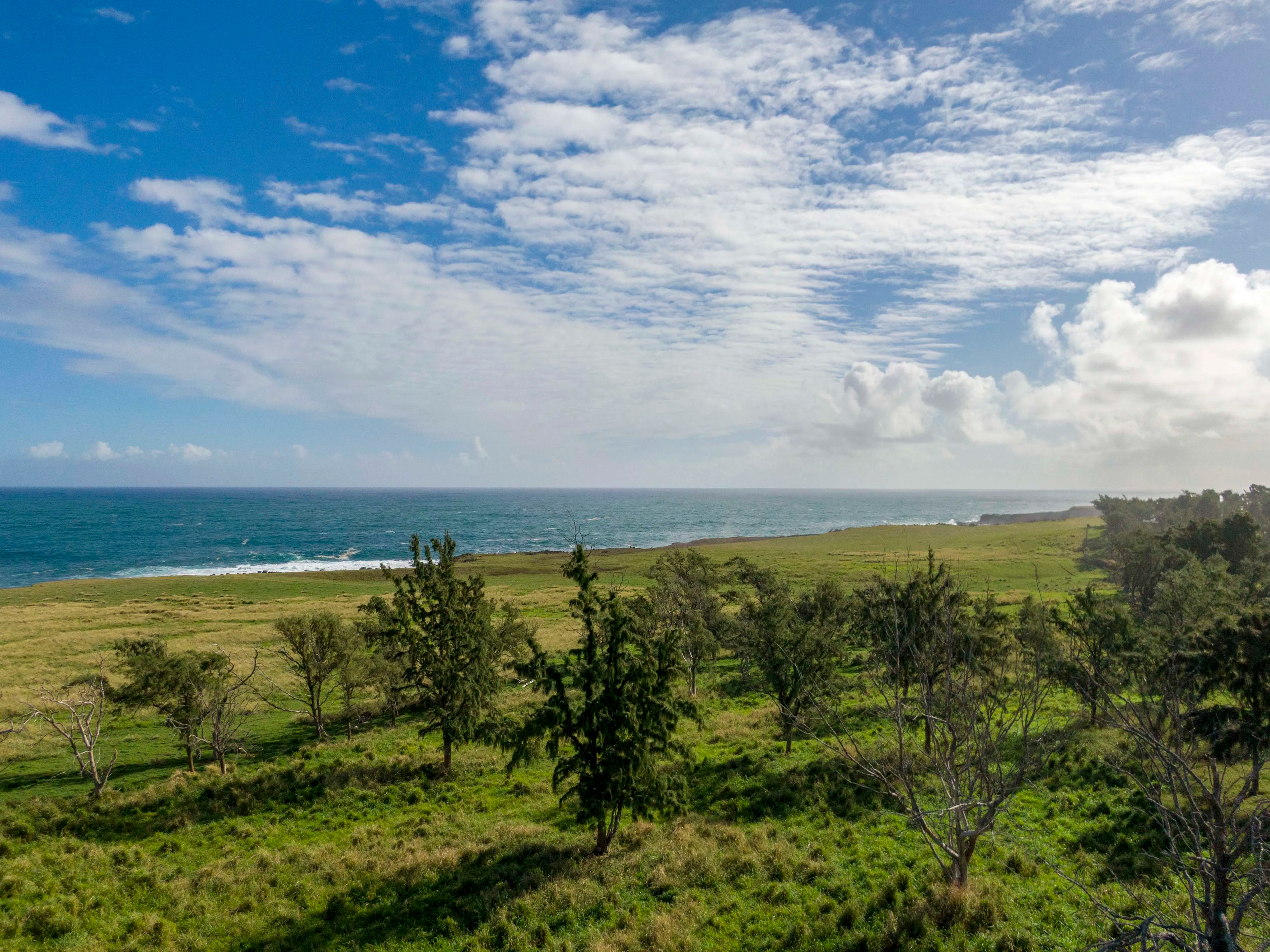 55-3287 Hoea Makai Road, Hawi, Big Island, Hawaii 96719 - 553287-hoea-makai-road-hawi-hi29_un8cj4