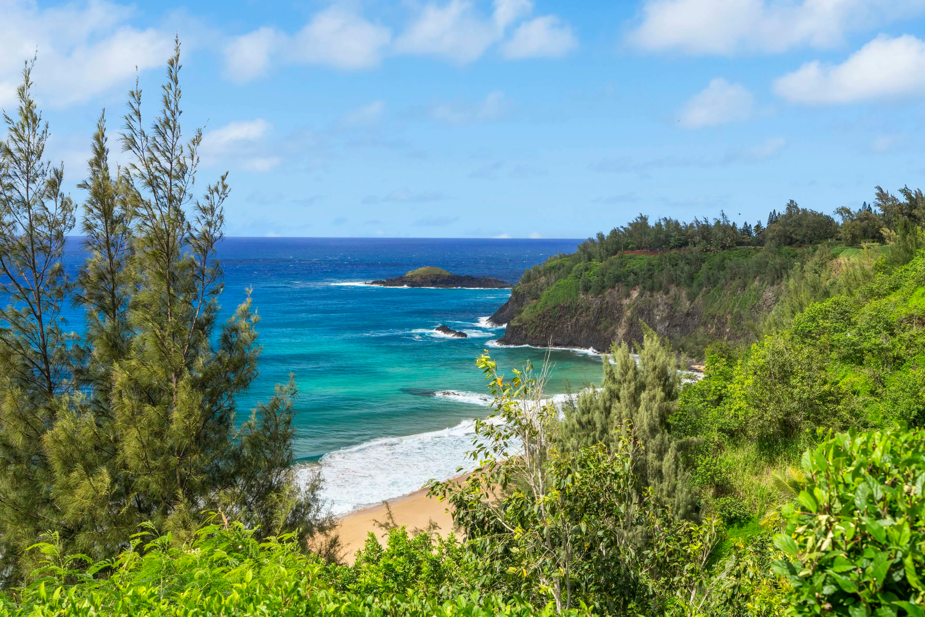 2620 Kauapea Road #A, Kilauea, North Shore Kauai, Hawaii 96754 - 45_2620_Kauapea_Rd_A_Kilauea_HI_kehfpl