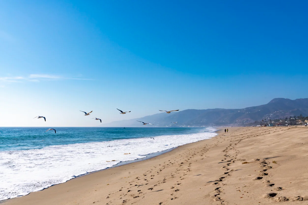 641 Elkins Road, Los Angeles, California 90049 - iStock-1130267258_dwuu60