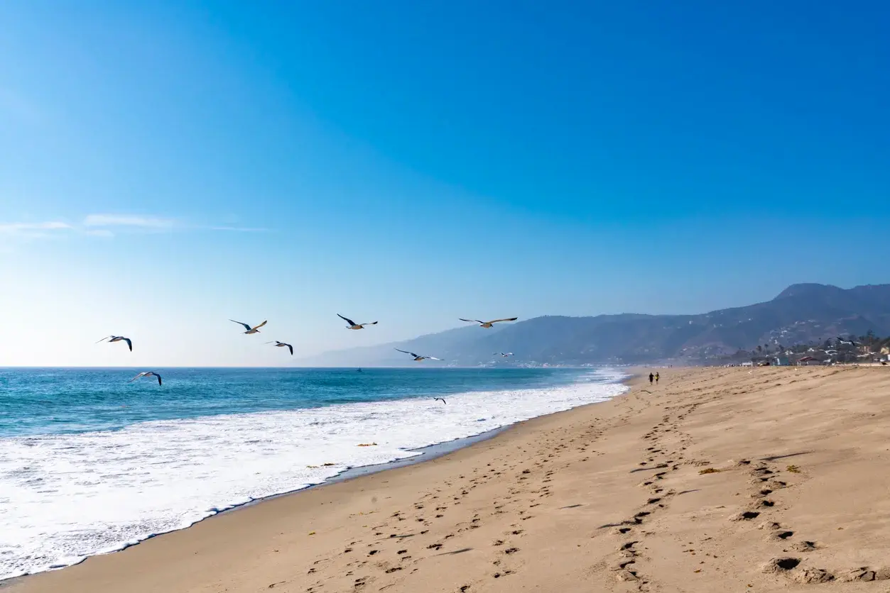 641 Elkins Road, Los Angeles, California 90049 - iStock-1130267258_dwuu60