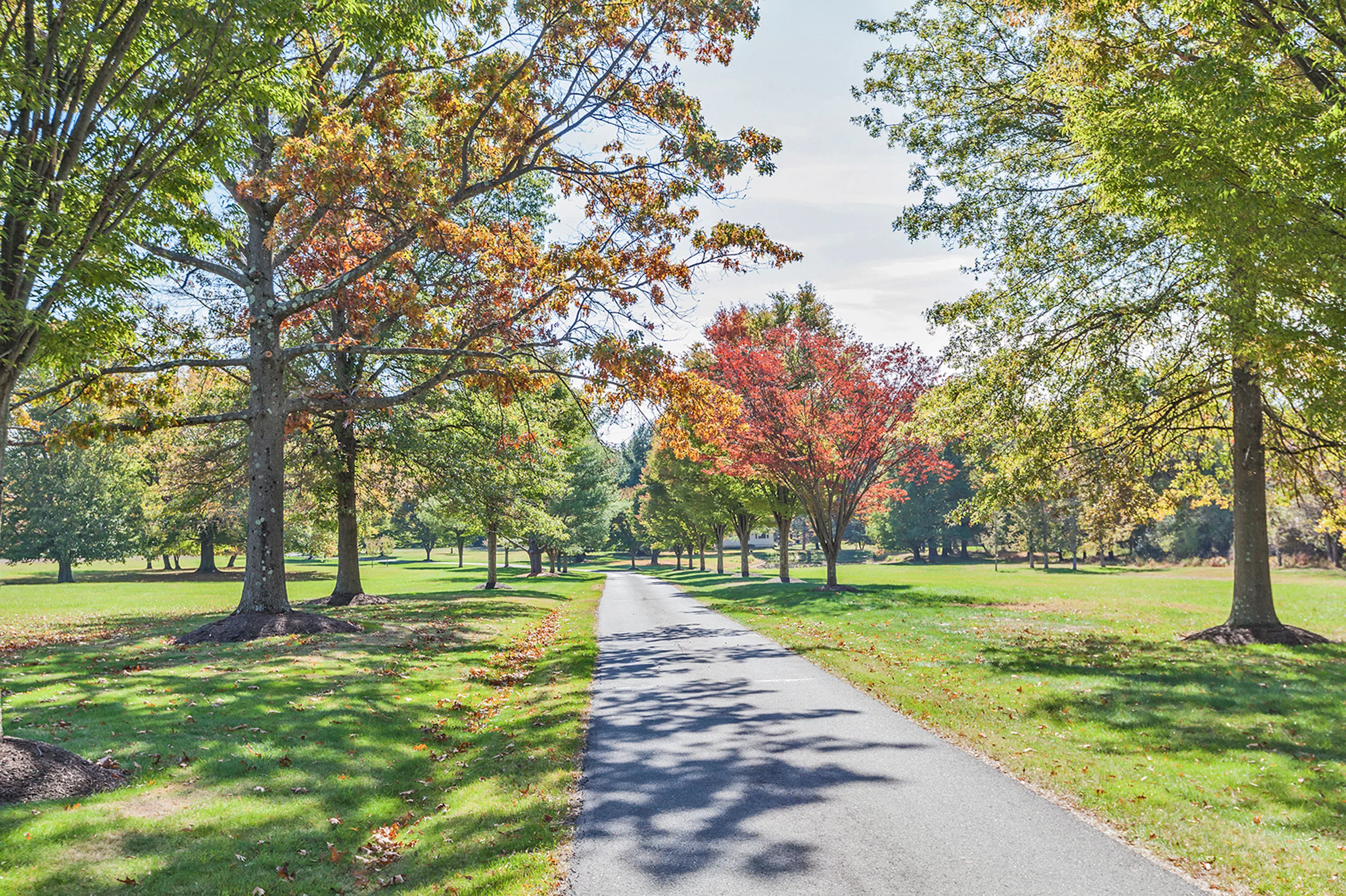 48 Elm Ridge Road, Princeton Area, New Jersey 08534 - 48-elm-ridge-road-pennington-new-jersey02_y7babw
