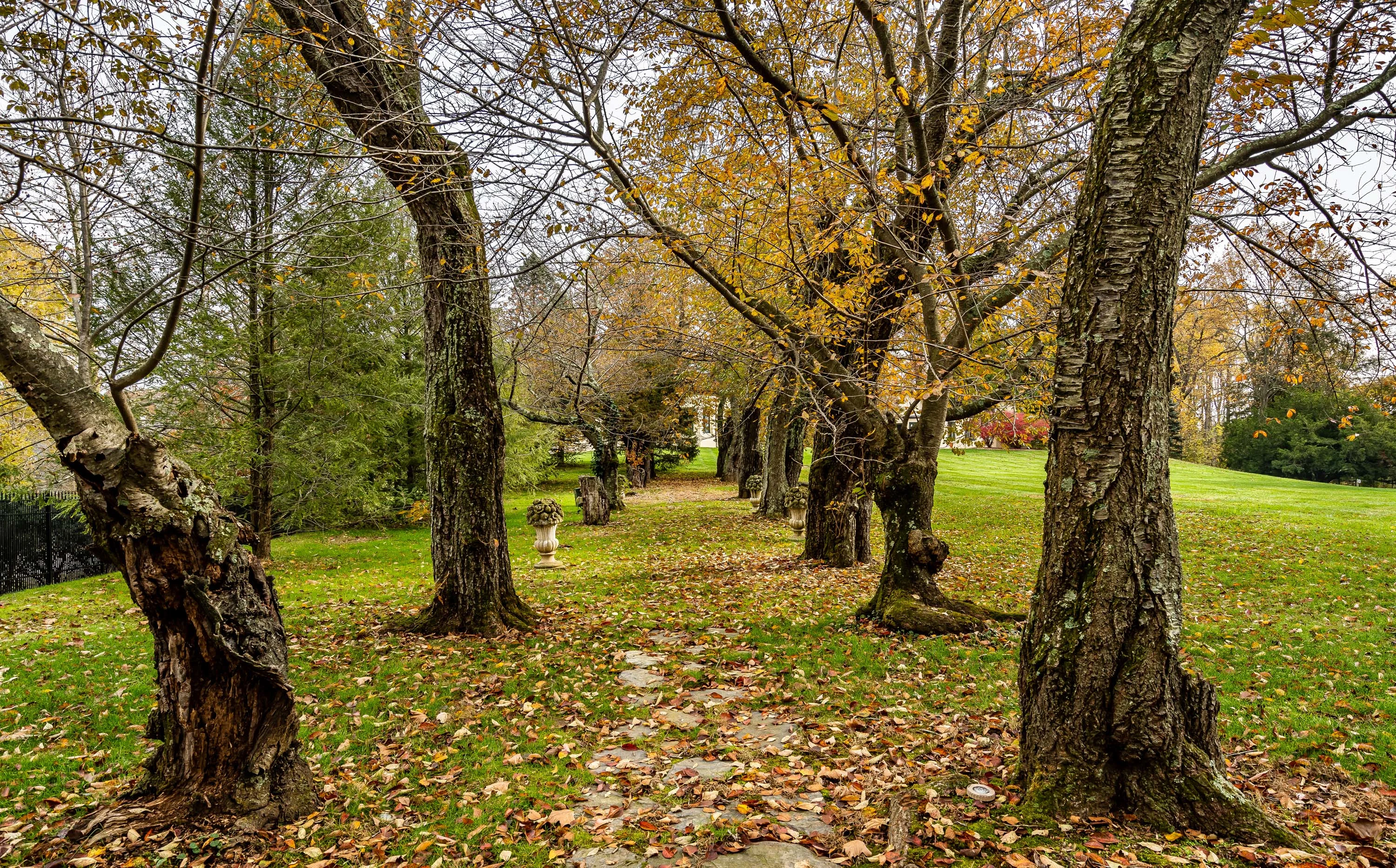 100 Springhouse Lane, Near Philadelphia, Pennsylvania 19073  - 100-springhouse-lane-newtown-square-pennsylvania53_frhbi0
