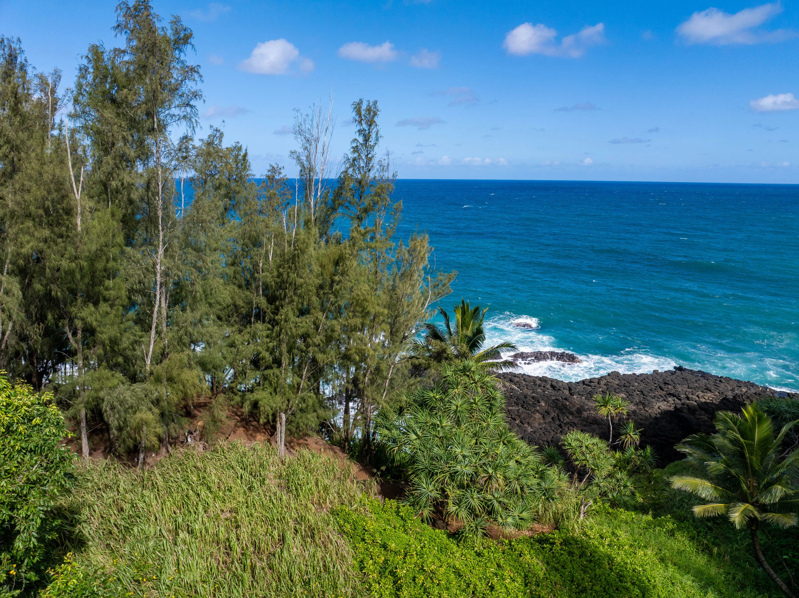3 Kaui Road, Princeville, North Shore Kauai, Hawaii 96722 - 3_Kaui_Rd_14_ggpvzd