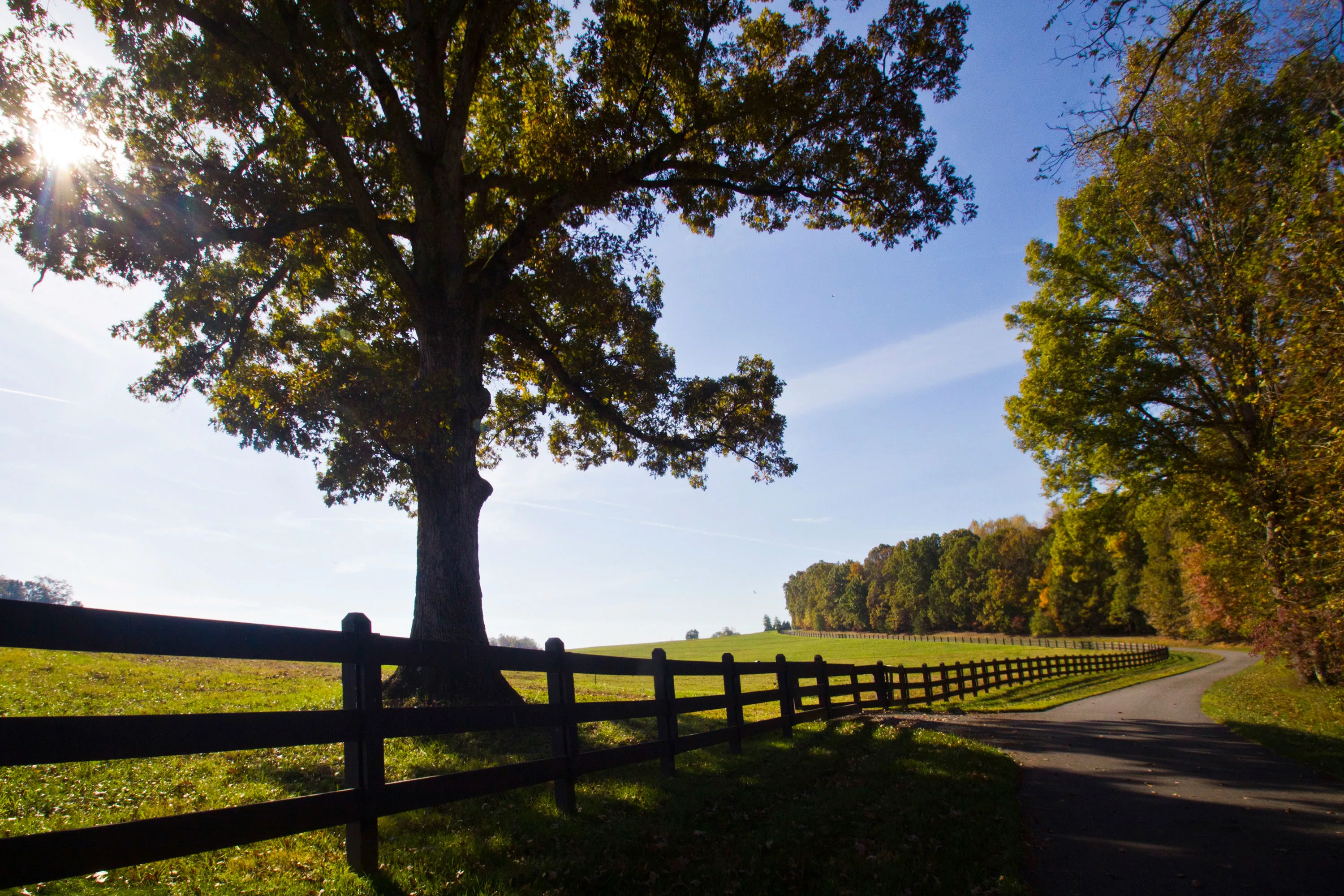 196 Old Stagecoach Lane, Statesville, North Carolina 28625 - 1-lifestyles-img_5394-copy_j138do