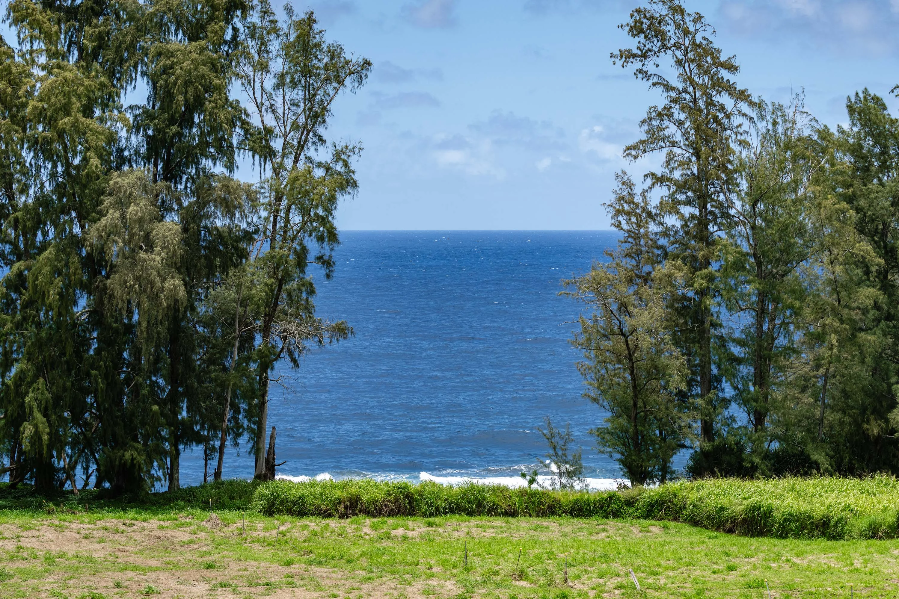 28-3320 Beach Road, Pepeekeo, Big Island, Hawaii 96783 - 35_28-3320_Beach_Rd_aznex8