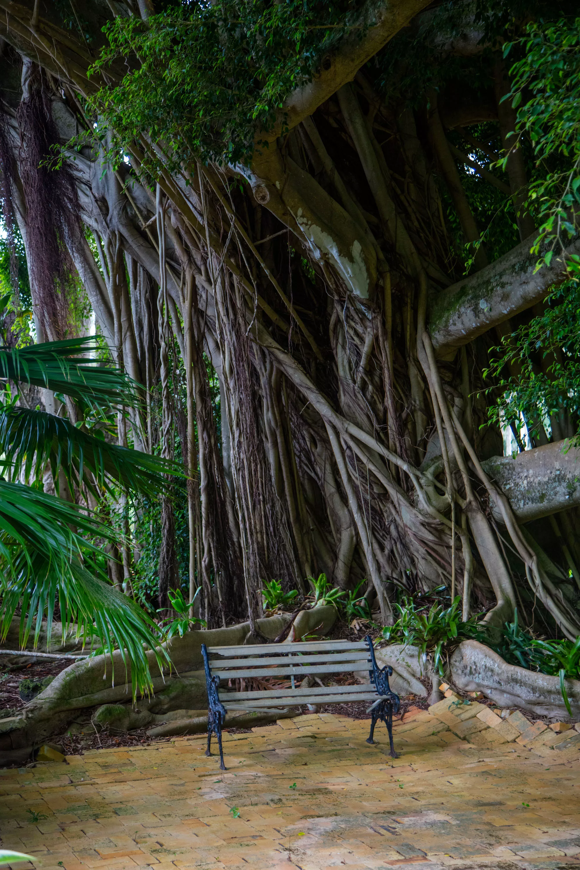 Olu Pua Gardens, Kauai, Hawaii  - olu-pua-gardens-kalaheo-kauai-hi-26-22-22-23-2323_s2lzyk