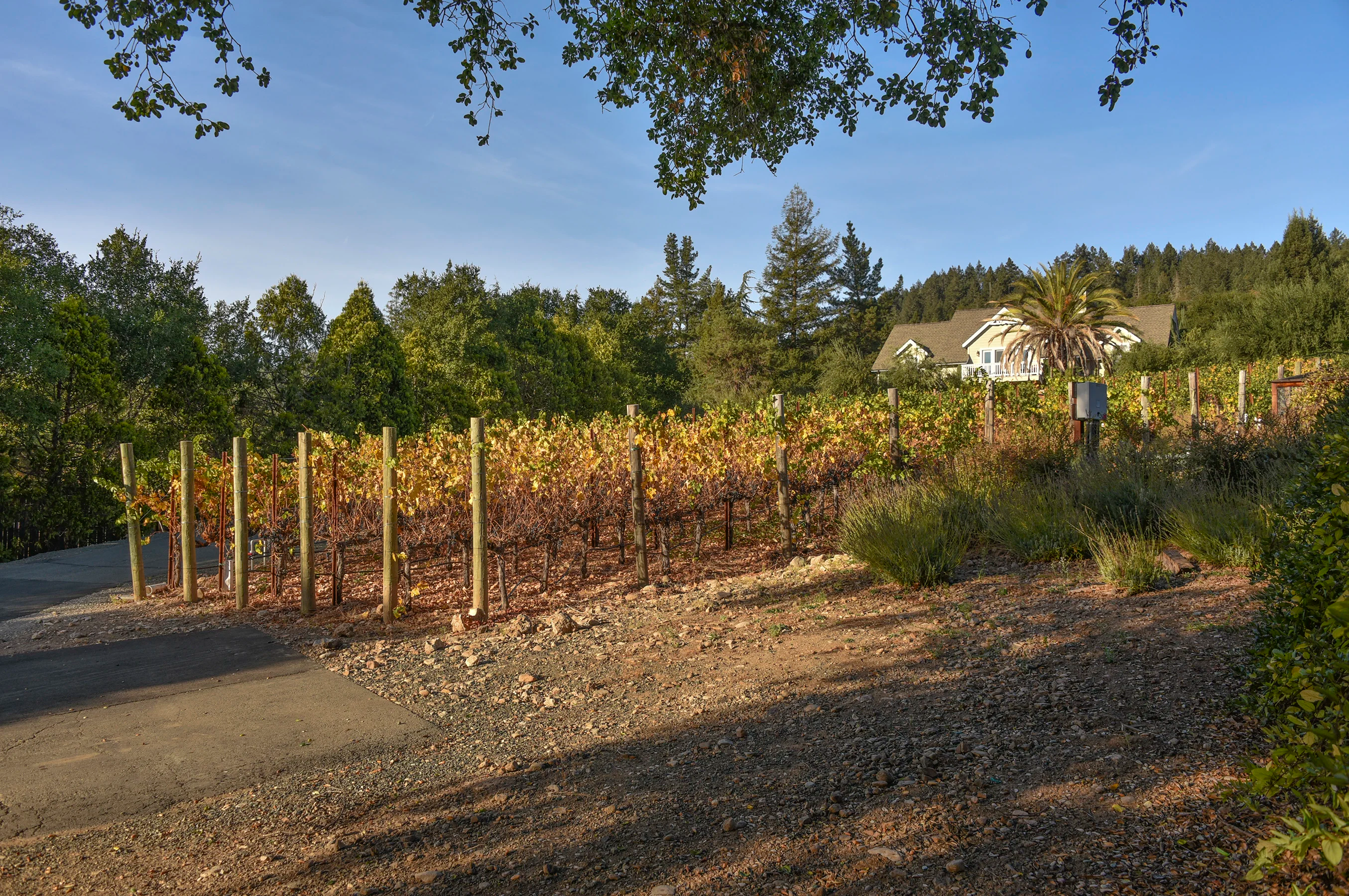 2618 & 2620 Silverado Trail North, Saint Helena, California 94574 - St-Hel-CA68_ezae2s