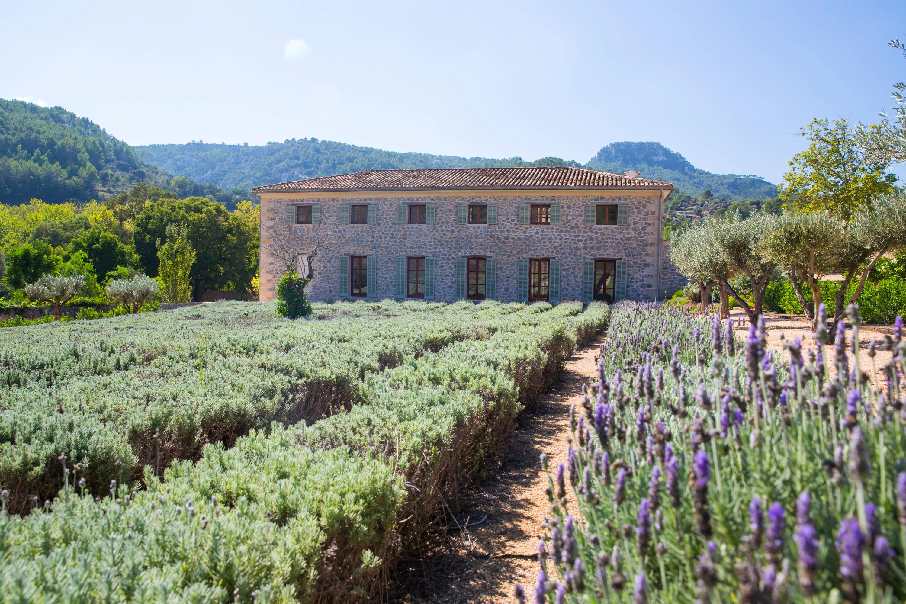 Finca Sa Vinya, Puigpunyent, Mallorca, Illes Balears , Spain - sa-vinya-puigpunyent-mallorca-spain-16-01-08-01-011_rdcrtv