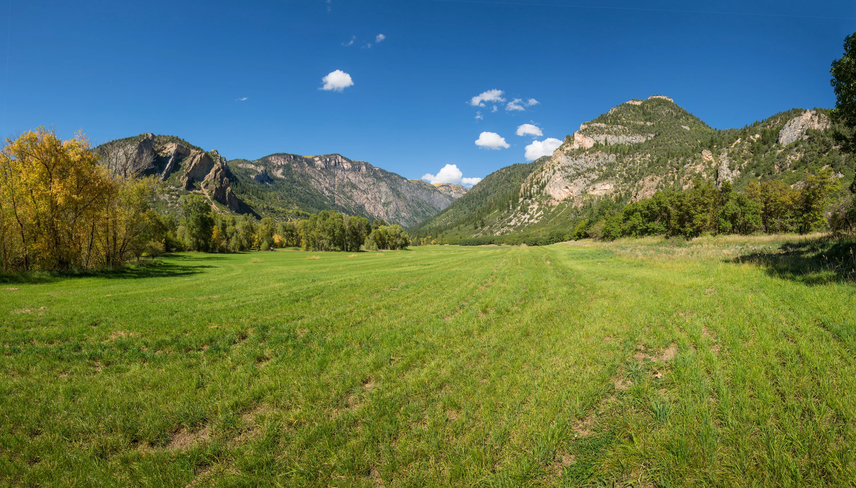 398 County Road 136, Aspen Area, Colorado 81601 - Inyanga_Ranch_Glenwood_Springs_CO_19_rwnhsy