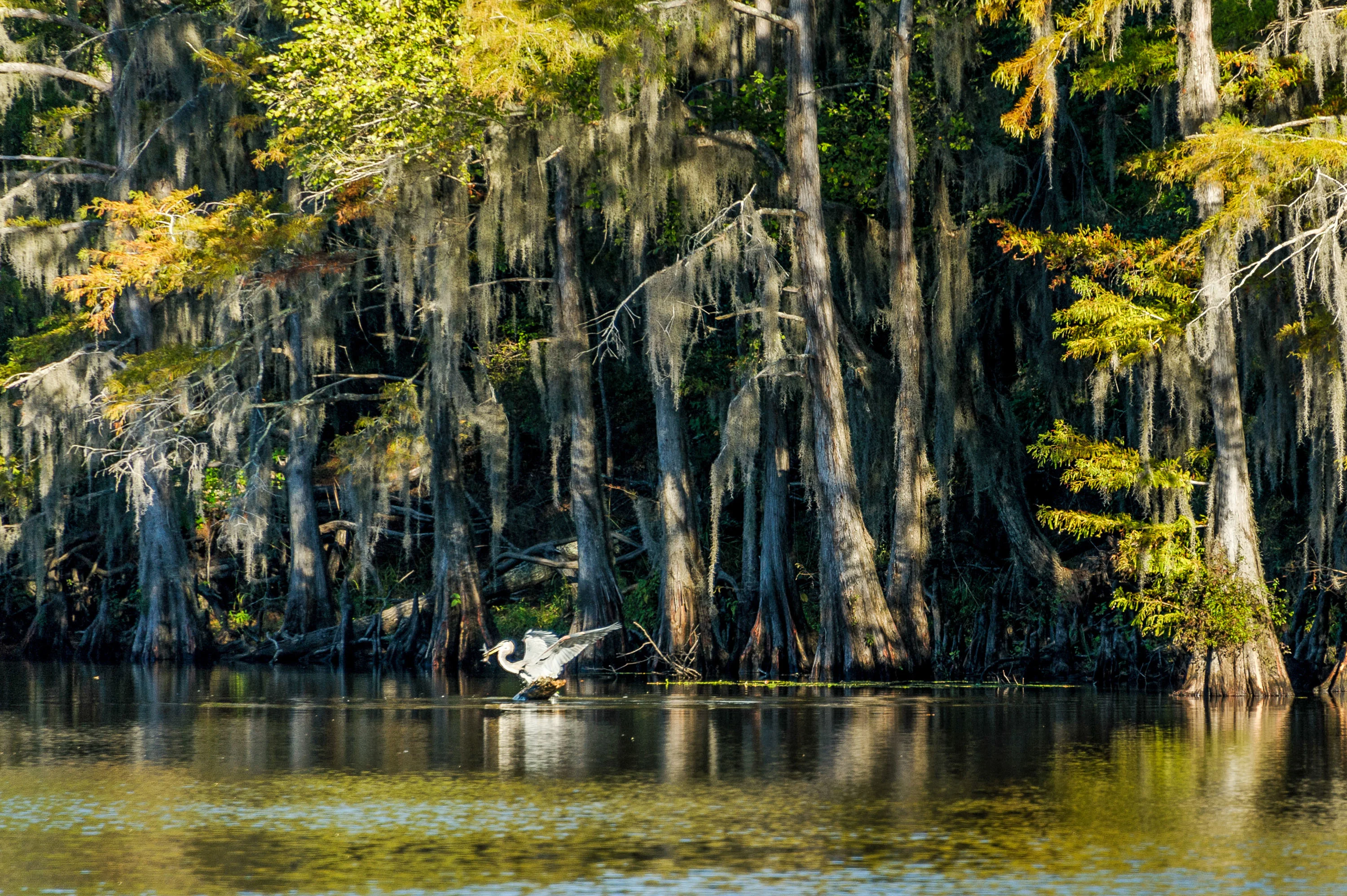 Nix Lower Bayou, East Texas, Texas 75657 - 601-fm-134-jefferson-texas14_o6ikzt
