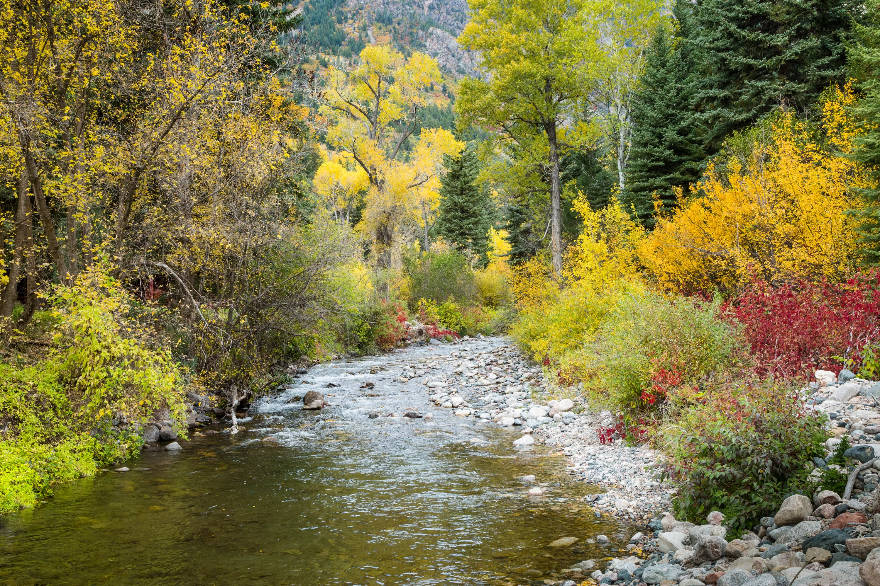 398 County Road 136, Aspen Area, Colorado 81601 - Inyanga_Ranch_Glenwood_Springs_CO_32_chcaom