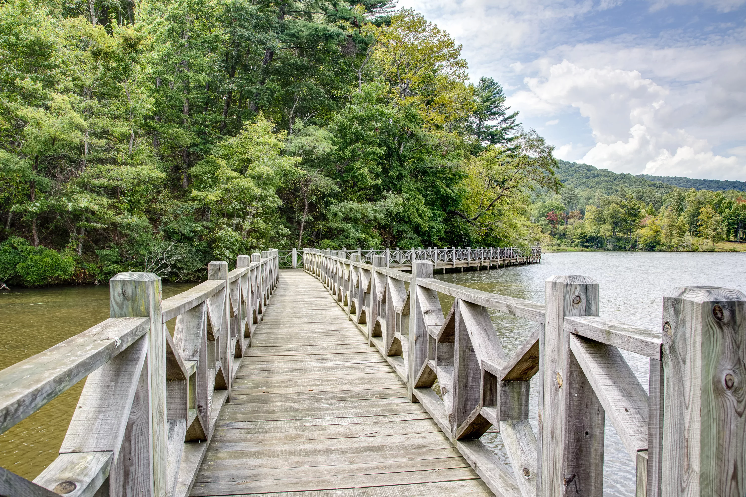 275 Kennemur Road, Historic Ellijay, Georgia 30536 - falling-waters-mountain-lodge-275-kennemur-rd-luxury-real-estate-4_lgon6a