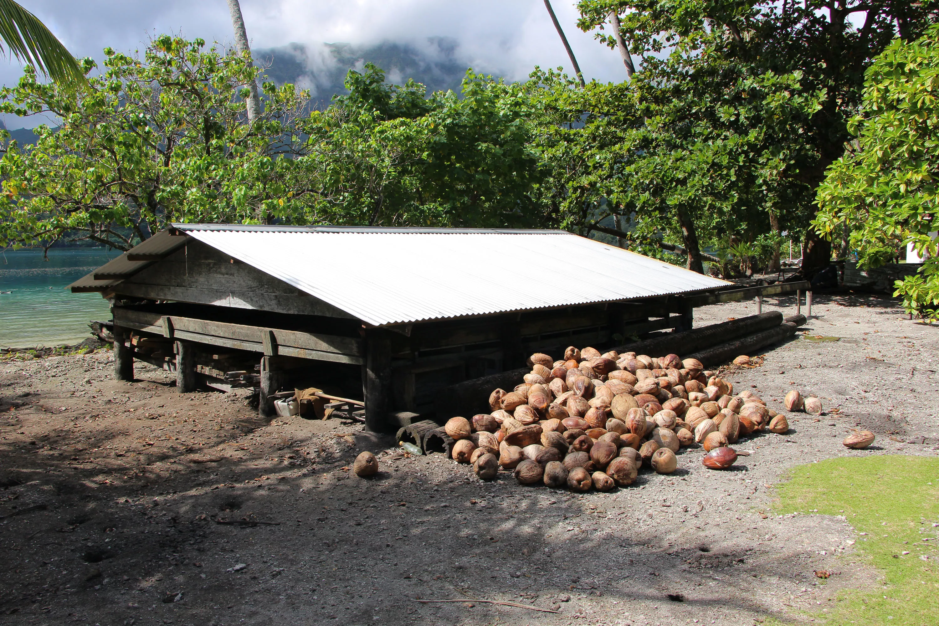 Motu Tiano, Tahiti,  , French Polynesia - motu_tiano_french_polynesia_21_qbrib3