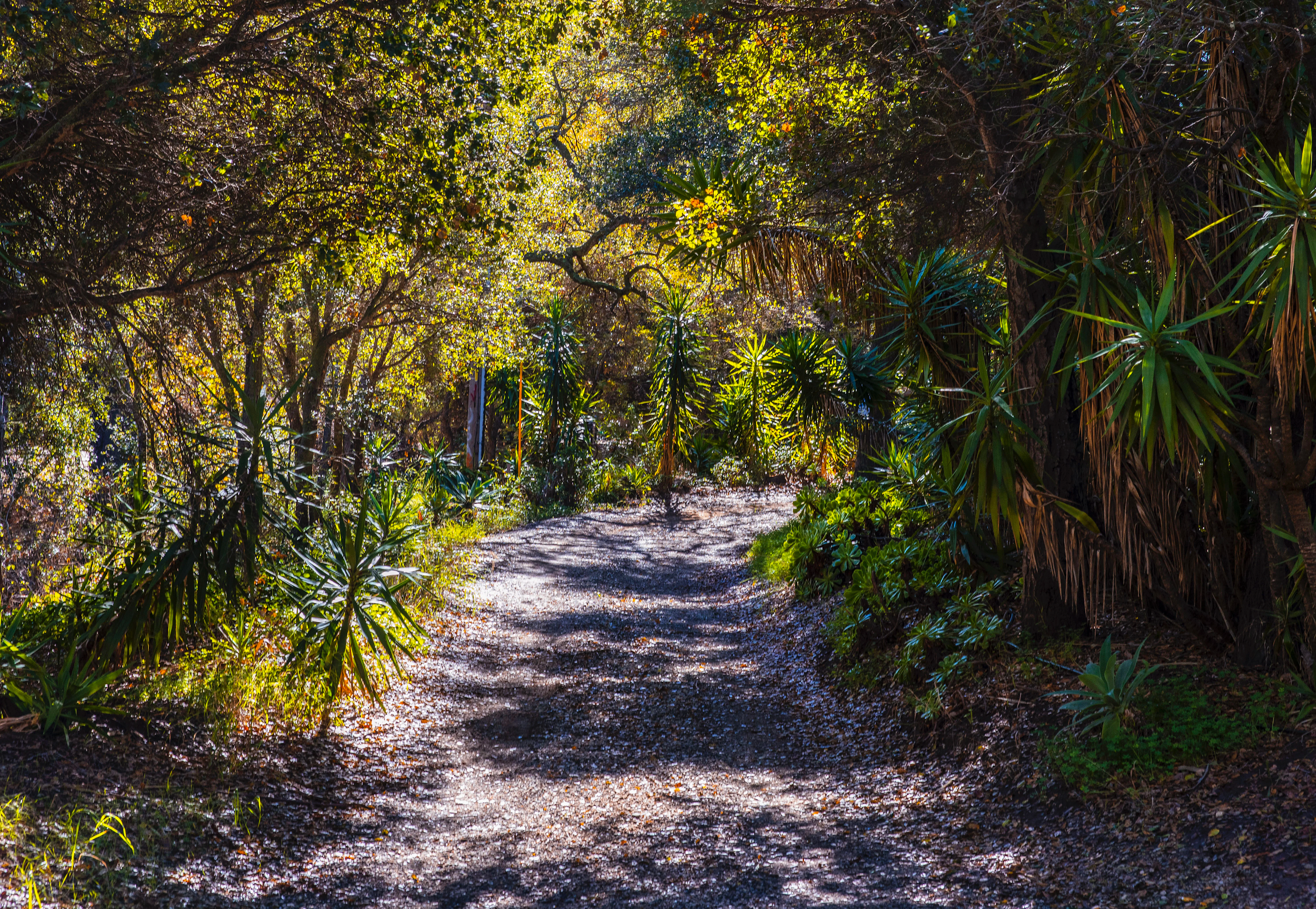 1585 San Marcos Pass Road, Santa Barbara, California 93105 - 1585-san-marcos-pass-road-santa-barbara-ca07_iiwbqf