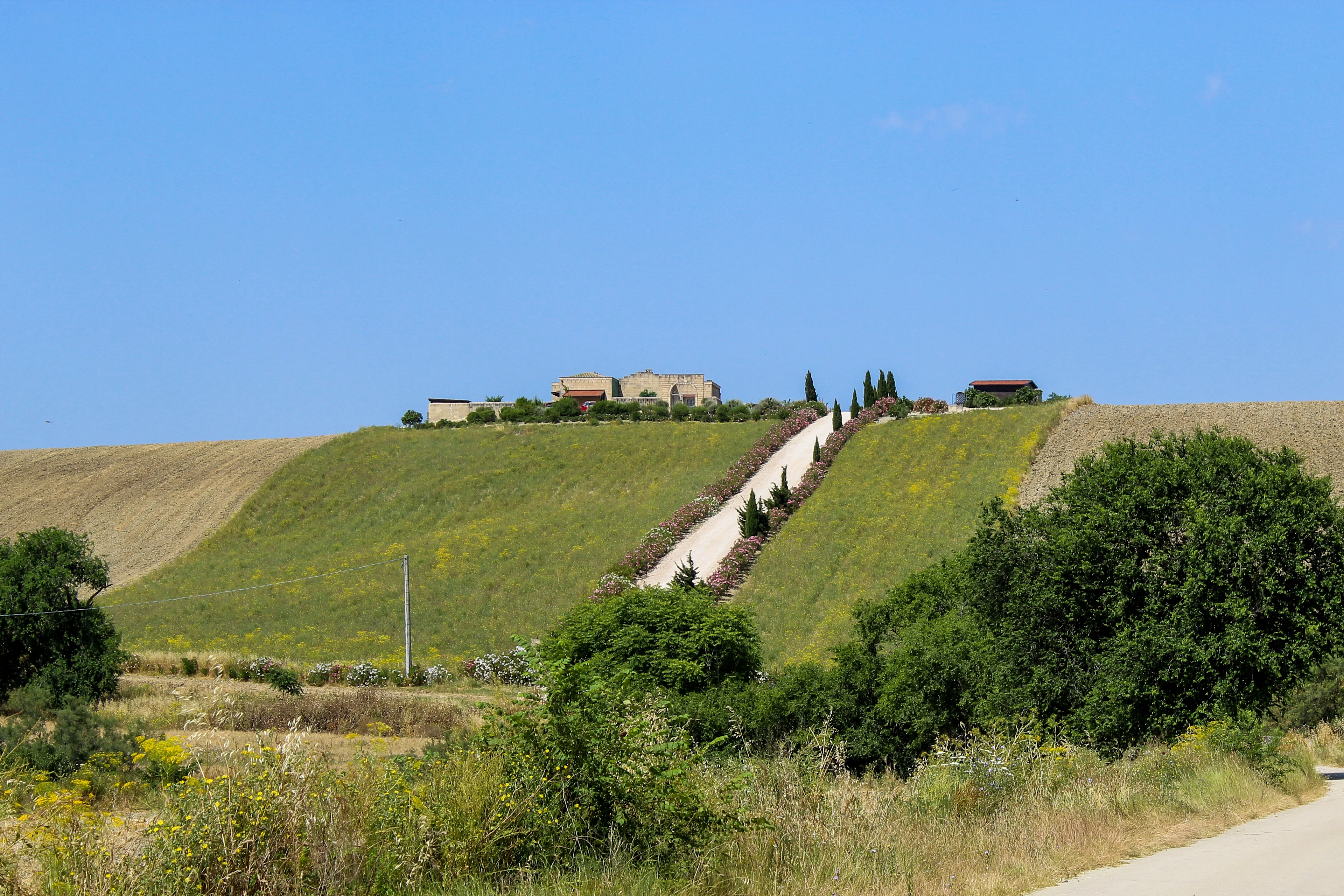 Masseria Mimosa, Matera, Matera 75100, Italy - Masseria-Mimosa-Matera32_lnpya4
