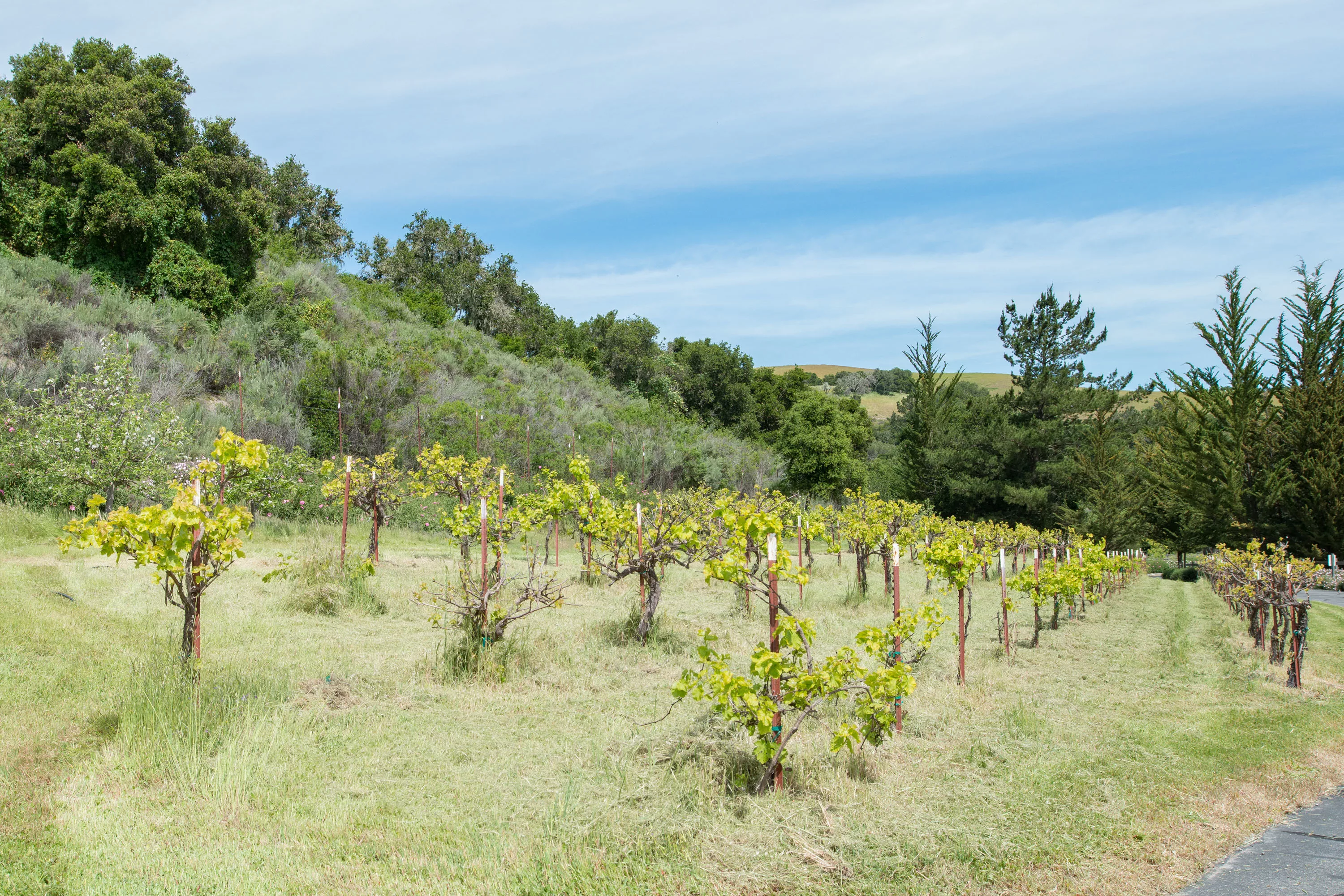 372/384 Corral De Tierra Road, Monterey, California 93908 - hidden-valley-ranch-384-corral-de-tierra-road-salinas-california29_jhoafq