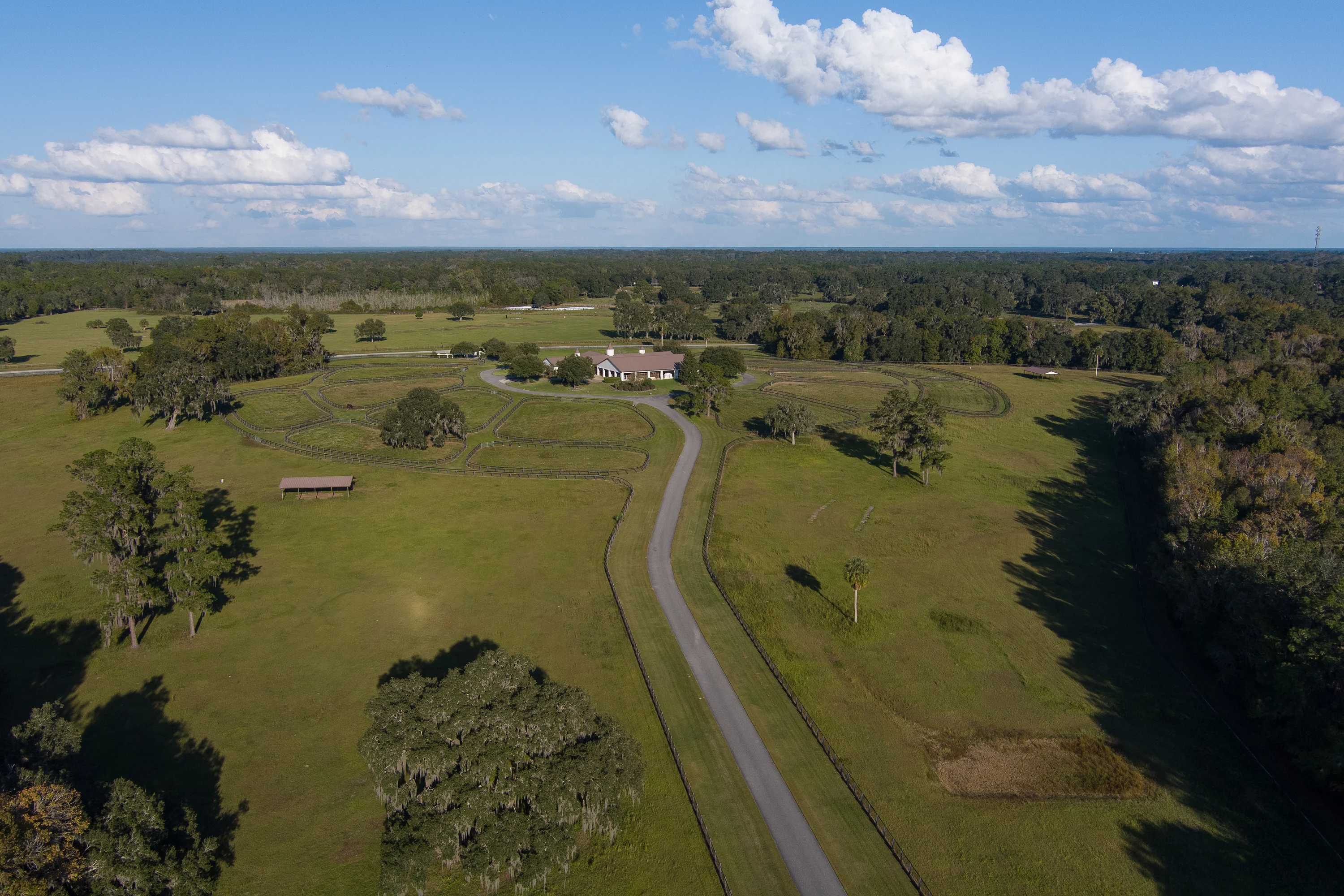9001 NW 200th Street Road, Micanopy, Ocala Area, Florida 32667 - 9001_NW_200th_Street_Road_44_tge0c2