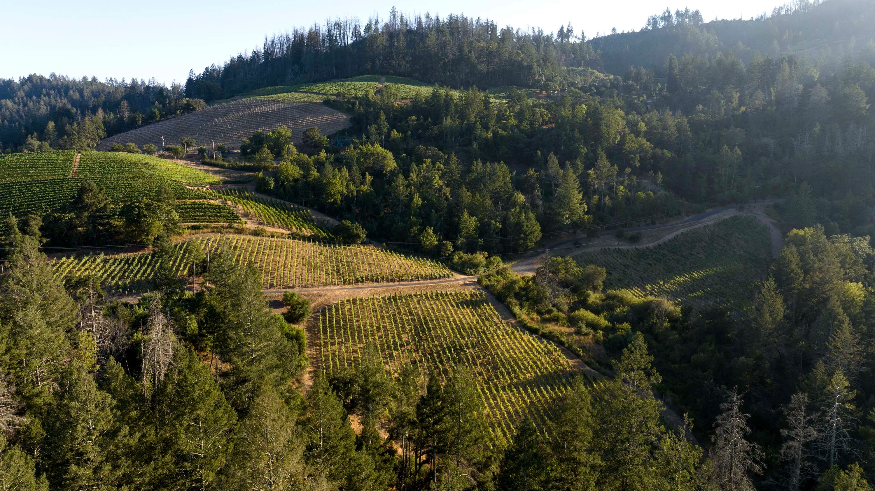 3000 Mount Veeder Road, Mount Veeder, Napa Valley, California 94558 - 41_-_094_sebg8p