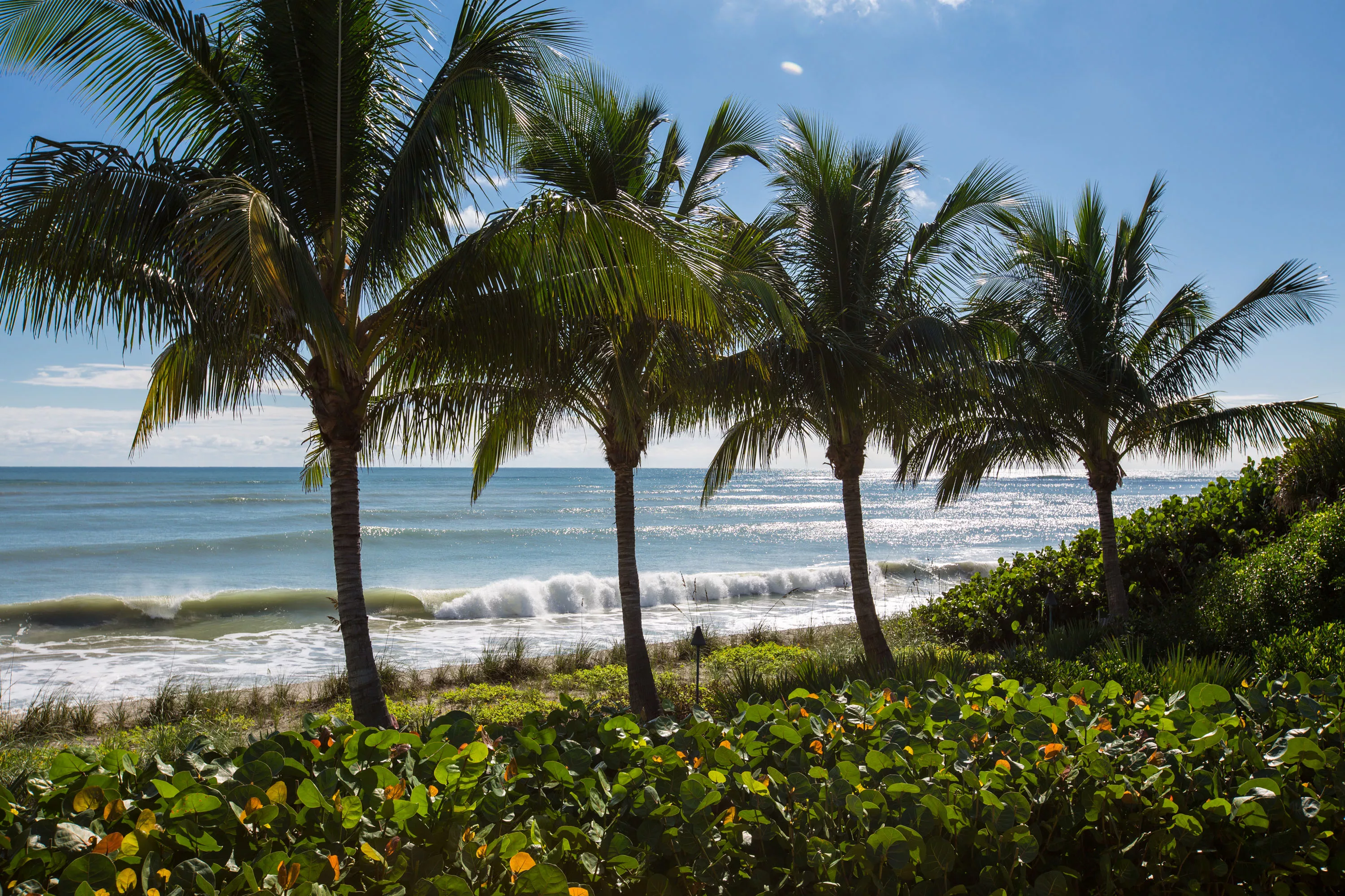 360 N. Blue Wave Lane, Vero Beach, Florida 32963 - 360-n-blue-wave-lane-vero-beach-fl-07-30-19-43-4343_qezj9b