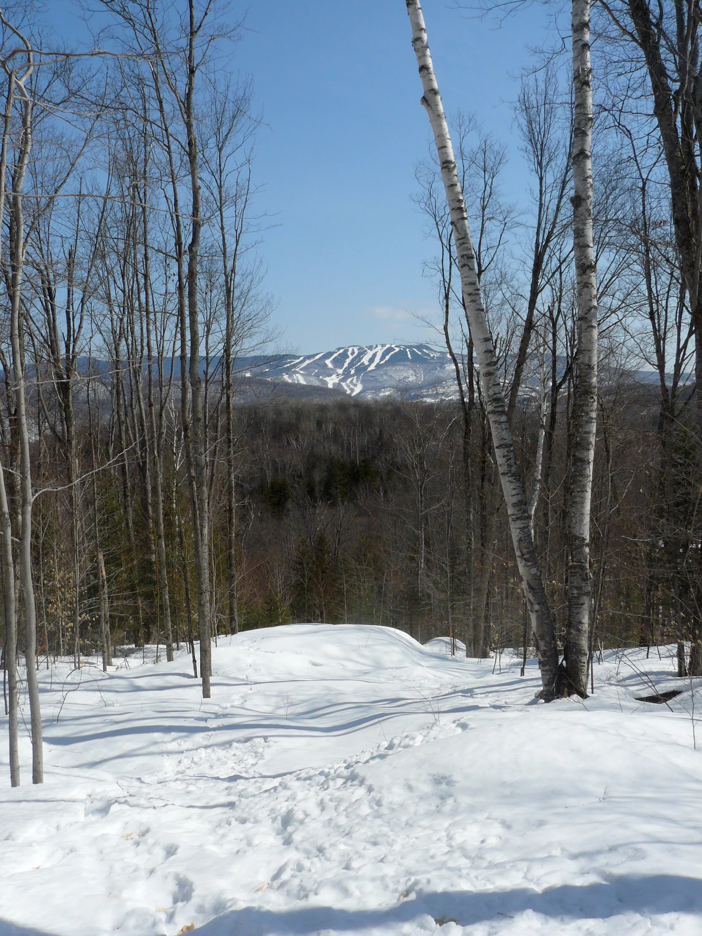 11 Chemin Killarney, Mont-tremblant, Quebec J8E 0C8, Canada - 11_Chemin_Killarney_Mont_Tremblant_Quebec_Canada37_mk5bxw