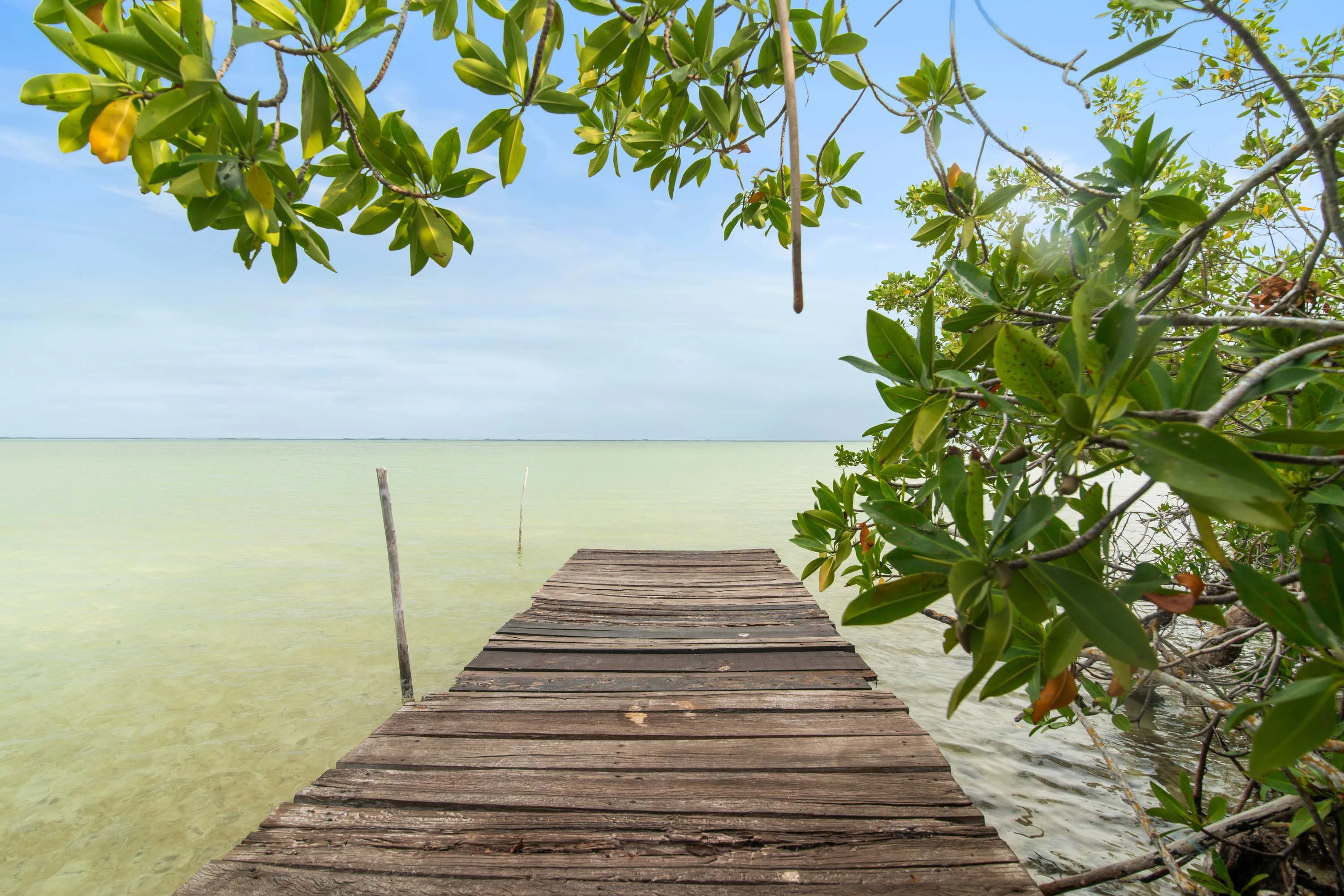 Casa Godi, Sian Ka'an, Tulum, Quintana Roo 77766, Mexico - 40_-_Consierge_CasaGodi_HighRes_0017_svpbdd