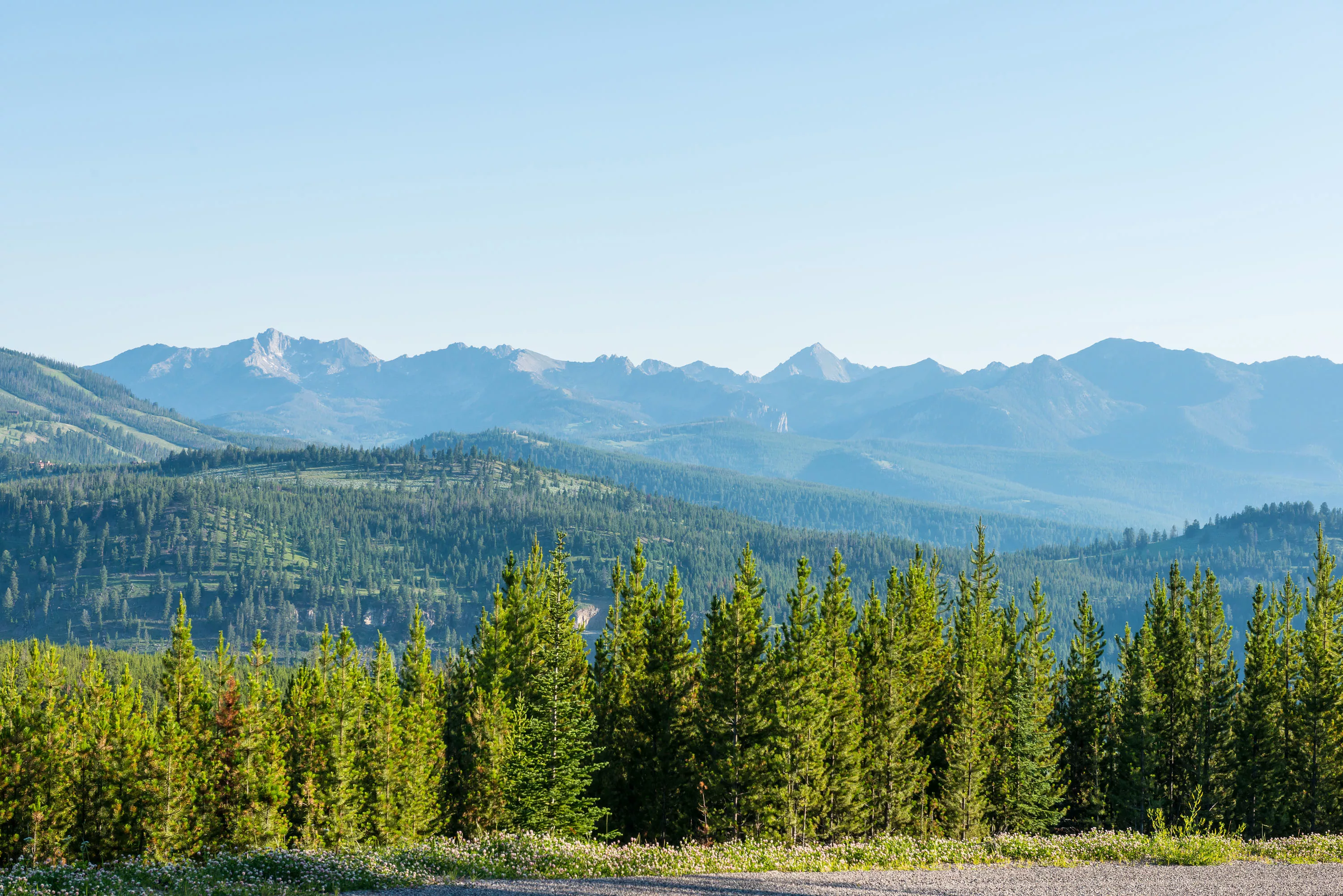 Yellowstone Preserve, Big Sky, Montana  - yellowstone-preserve-big-sky-mt-elk-sage_01_xpfrz0