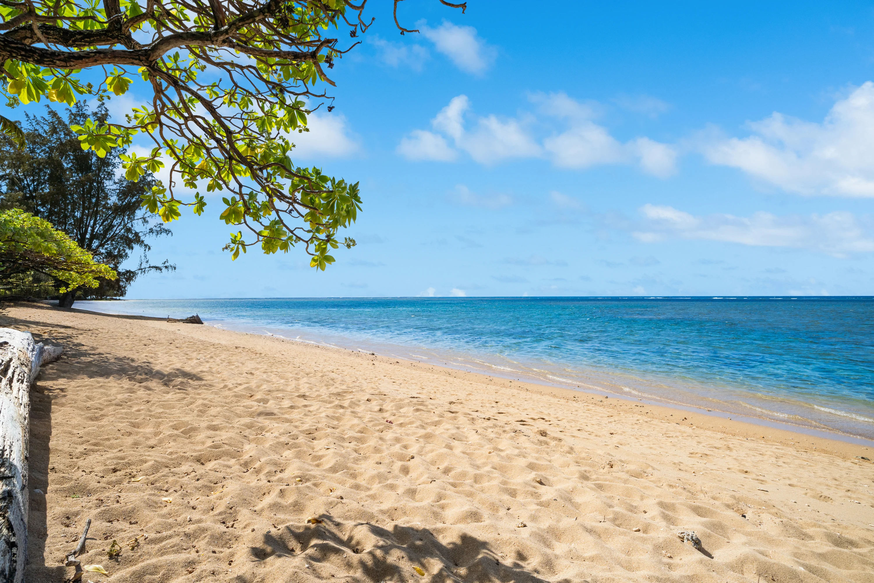 3704 Anini Road, North Shore, Kauai, Hawaii 96754 - 3704_Anini_Rd_31_gilhqu