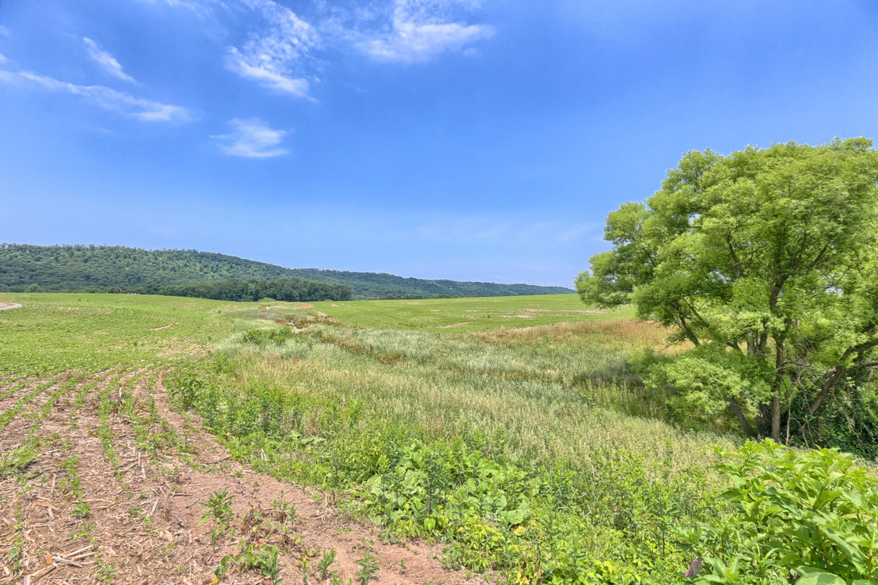 3462 State Route 147, Millersburg, Pennsylvania 17061 - susquehanna-landing-3642-st-rt-147-millersburg-pa-luxury-real-estate-5_jlzzlf