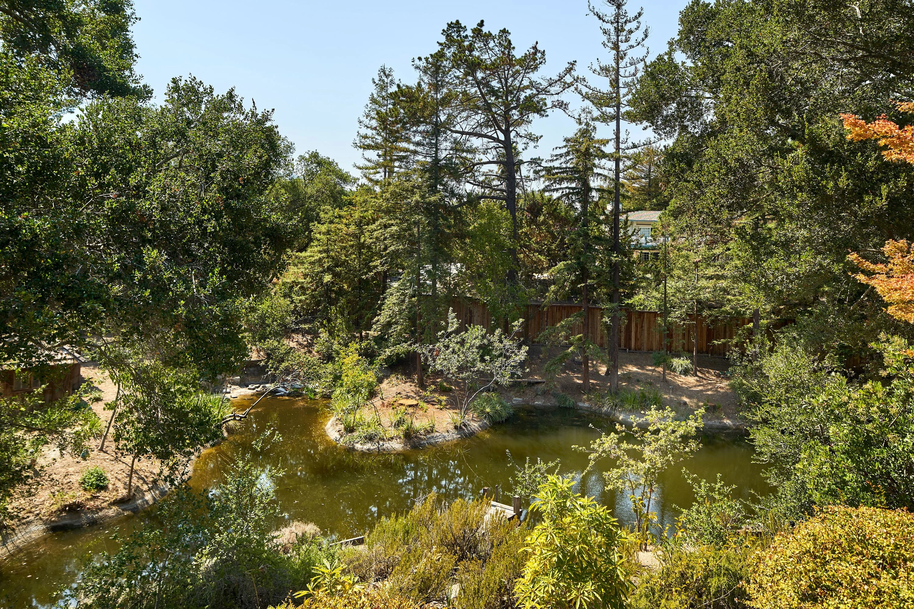 690 Loyola Drive, Silicon Valley, California 94024 - 690-loyola-drive-los-altos-hills-california50_al3umx