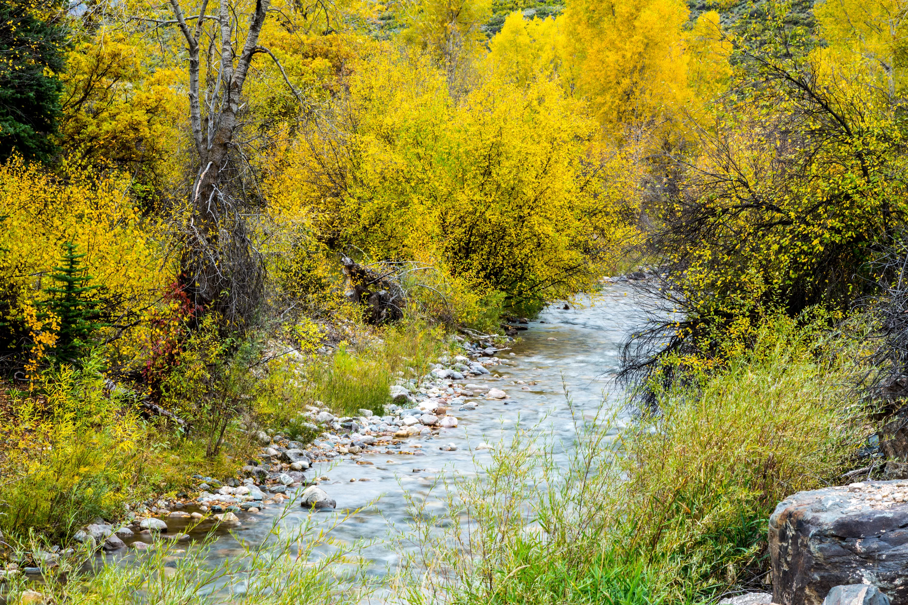 398 County Road 136, Aspen Area, Colorado 81601 - Inyanga_Ranch_Glenwood_Springs_CO_30_qy62nc