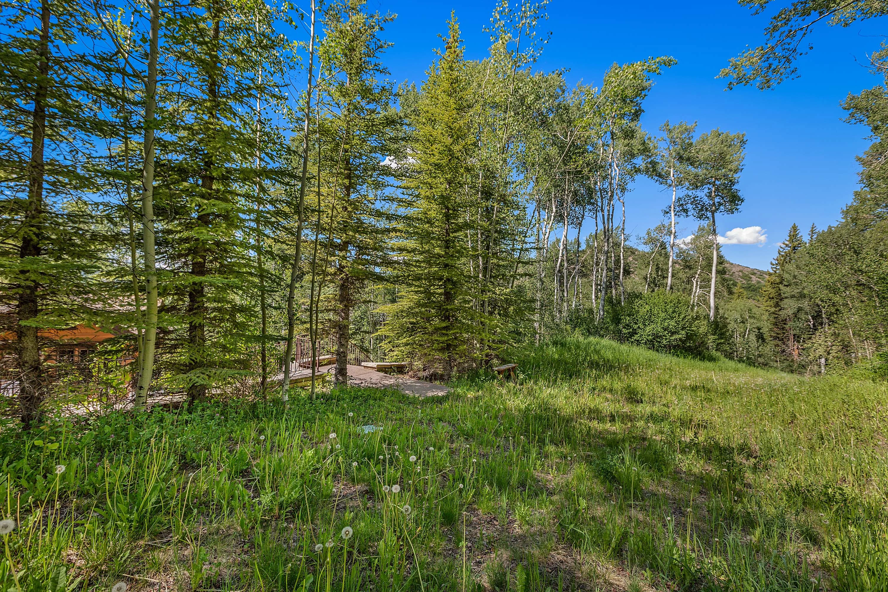 440 Spruce Ridge Lane, Aspen-Snowmass, Colorado 81615 - 440_Spruce_Ridge_Snowmass33_eybjpr