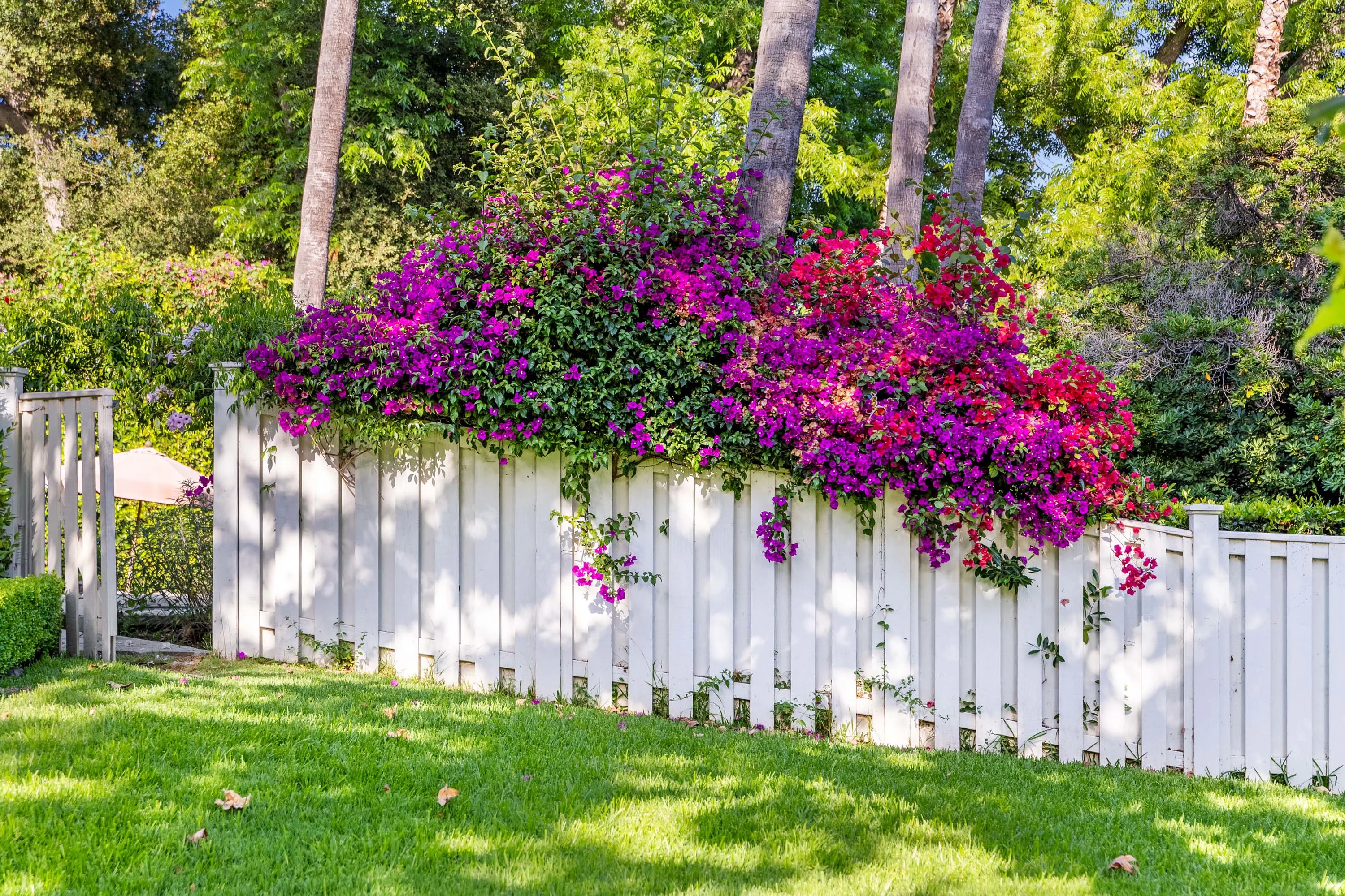 1464 Virginia Road, San Marino, Los Angeles, California 91108 - 40_1464_Virginia_Rd._San_Marino_California_ynketf
