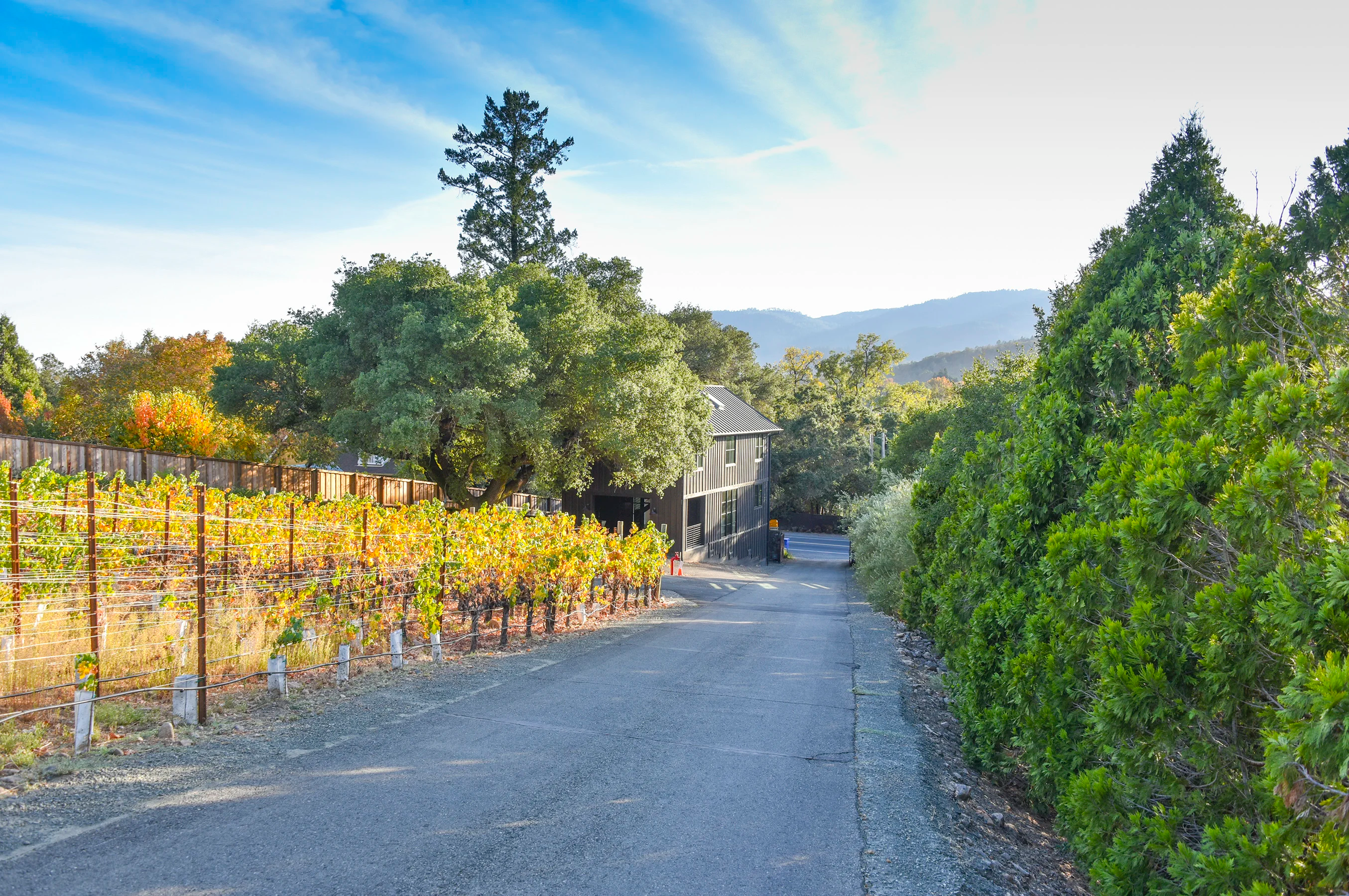 2618 & 2620 Silverado Trail North, Saint Helena, California 94574 - St-Hel-CA42_ypuxm9