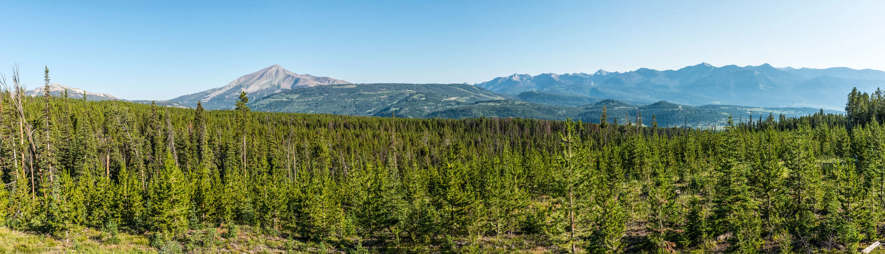 Yellowstone Preserve, Big Sky, Montana  - yellowstone-preserve-big-sky-mt-ptarmigan_02_k4nnwm