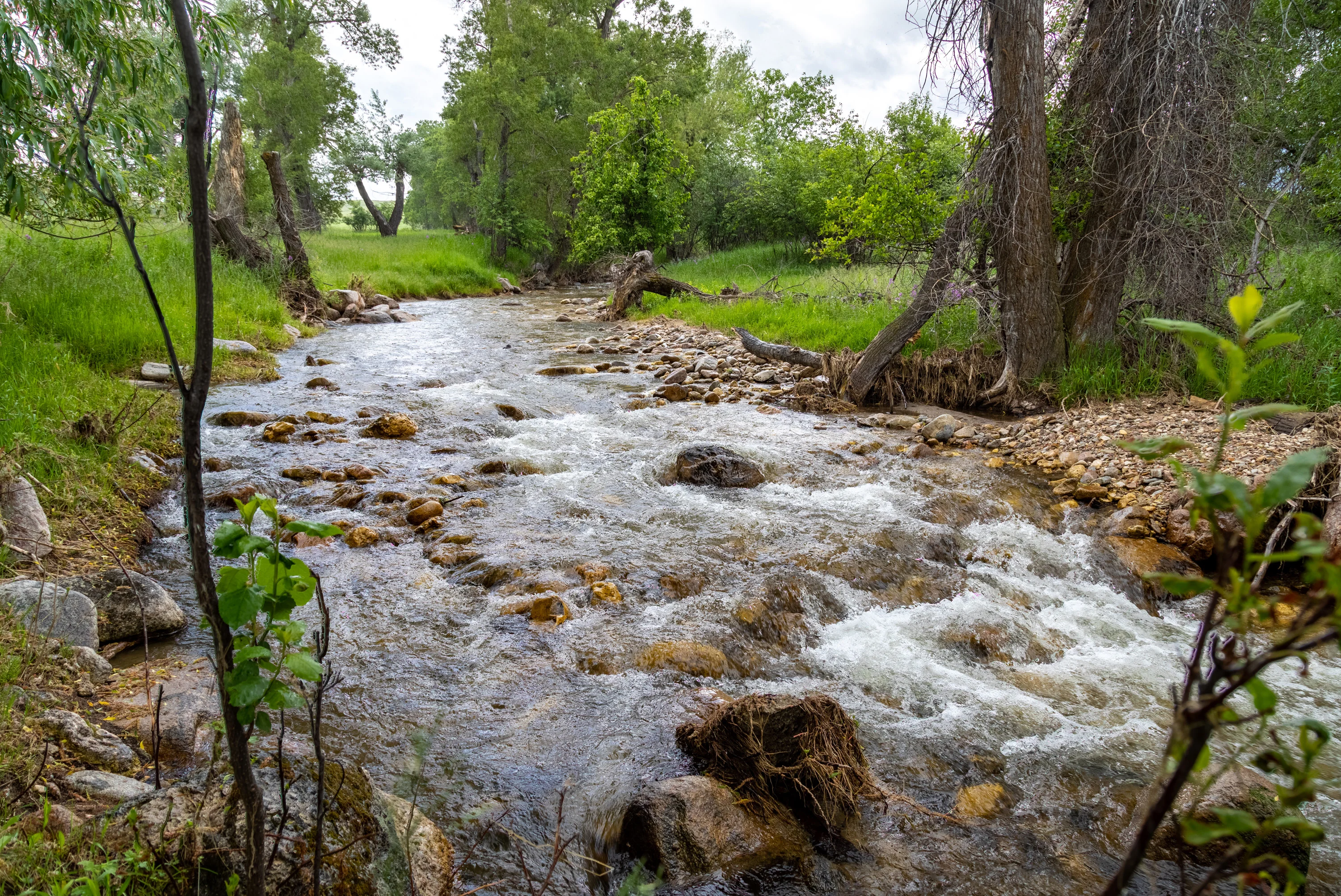 43 Rapid Creek Road, Sheridan, Wyoming 82801 - holy-cow-ranch-43-rapid-creek-road-sheridan-wyoming22_yhm9am