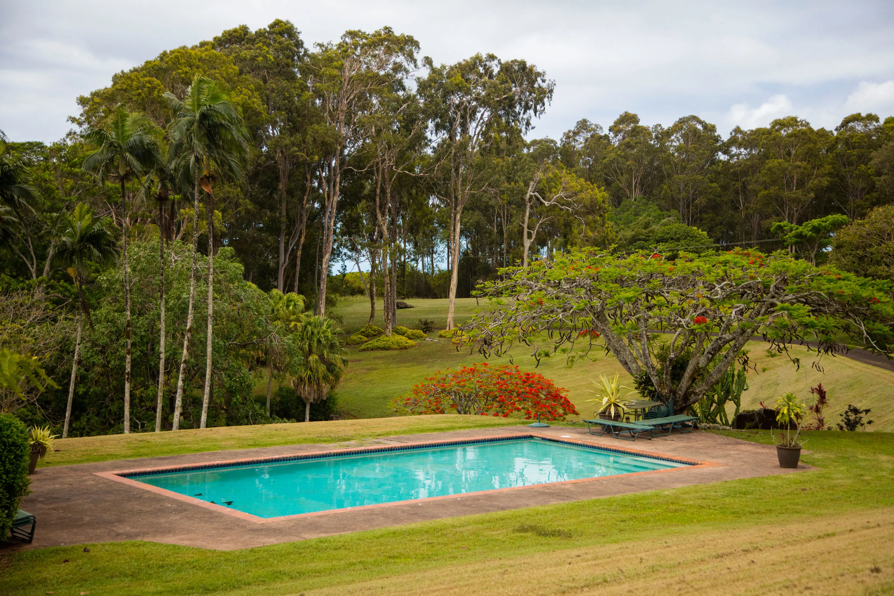 Olu Pua Gardens, Kauai, Hawaii  - olu-pua-gardens-kalaheo-kauai-hi-03-22-22-27-2727_euuvfn