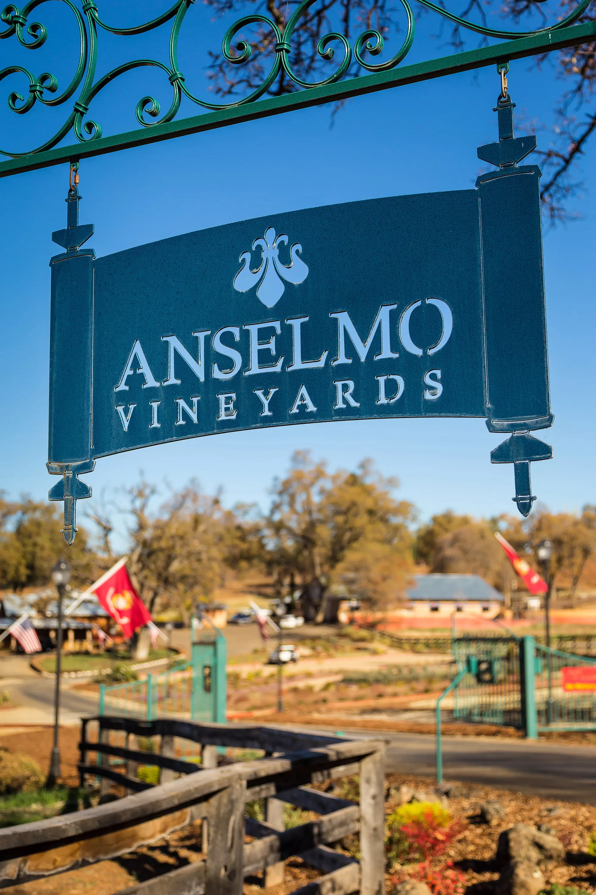 28740 Inwood Road, Inwood Valley, California 96088 - anselmo-vineyards-28740-inwood-road-shingletown-ca-luxury-real-estate-33_kcnzwj