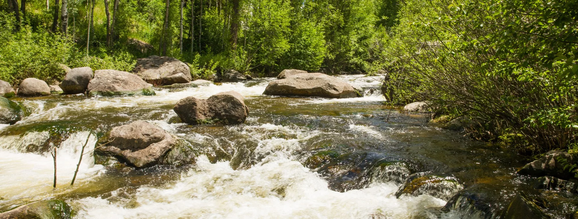 1110 Waters Avenue, Aspen, Colorado 81611 - 1110-waters-avenue-aspen-colorado-81611-37-2000x760-08-11-02-022_hd7cc2