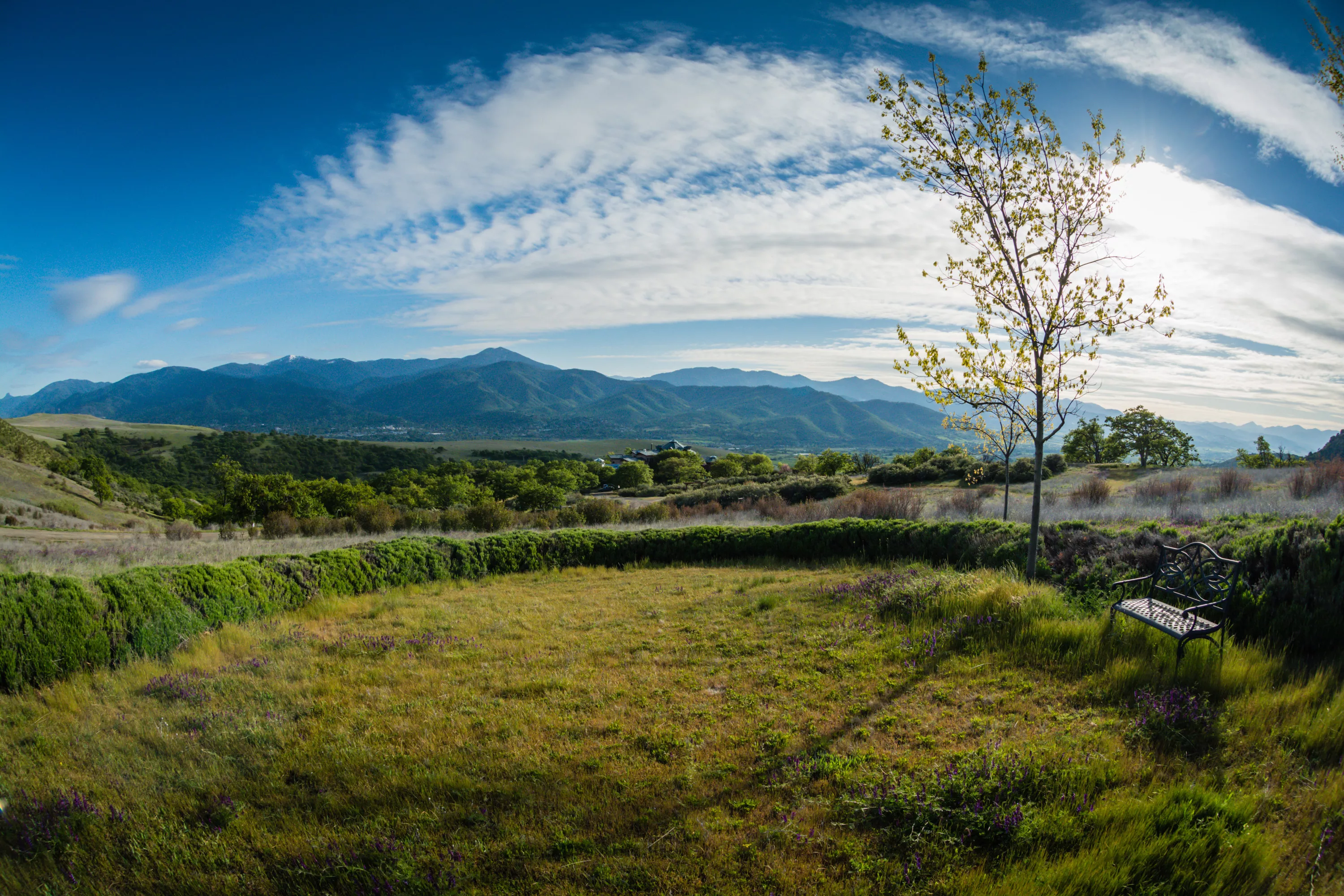 3300 Butler Creek Road, Ashland, Oregon 97520 - circle-of-teran-3300-butler-creek-rd-ashland-or-luxury-real-estate-7_eldn4m