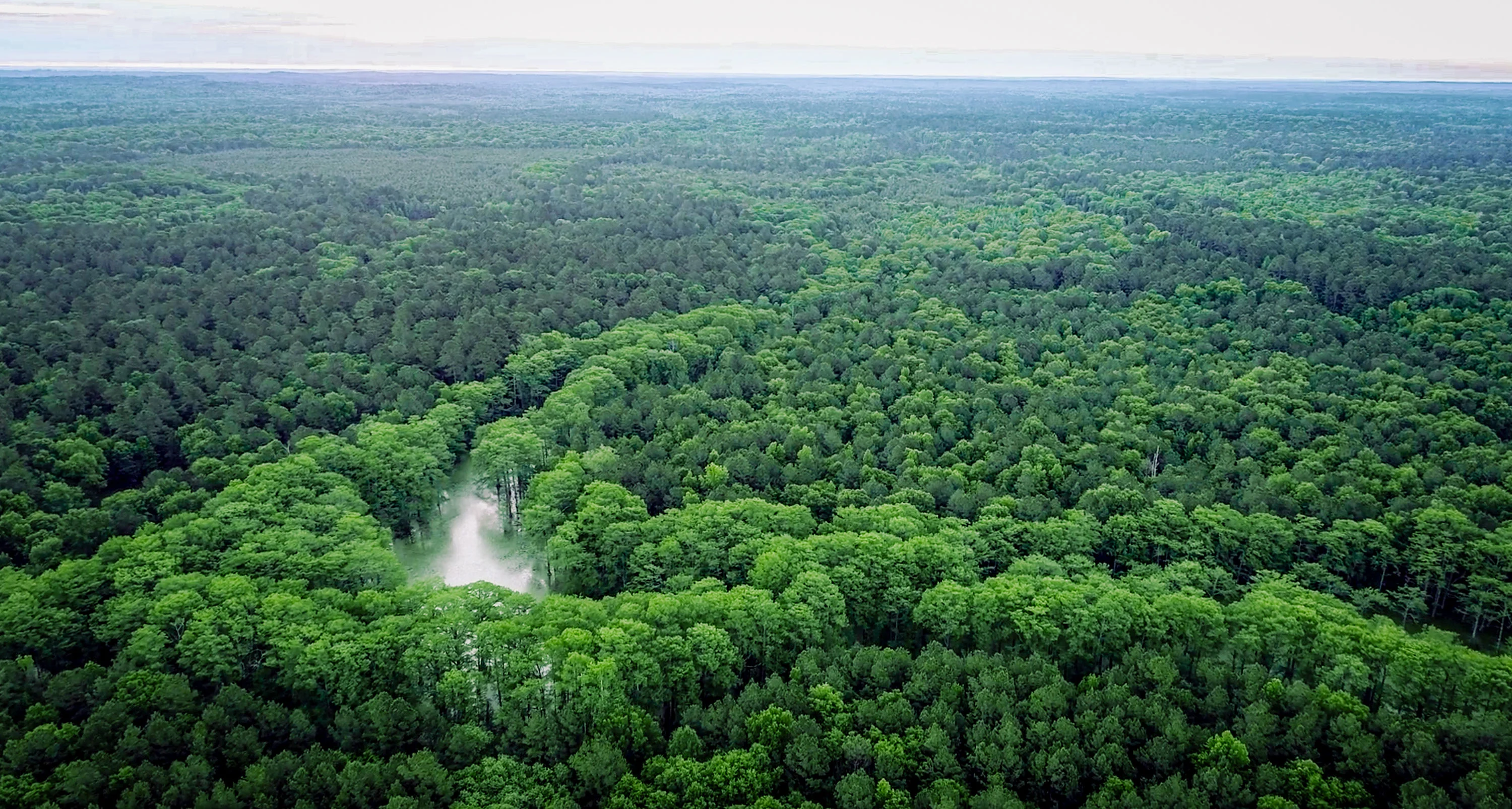 Nix Lower Bayou, East Texas, Texas 75657 - 601-fm-134-jefferson-texas24_f5iruh