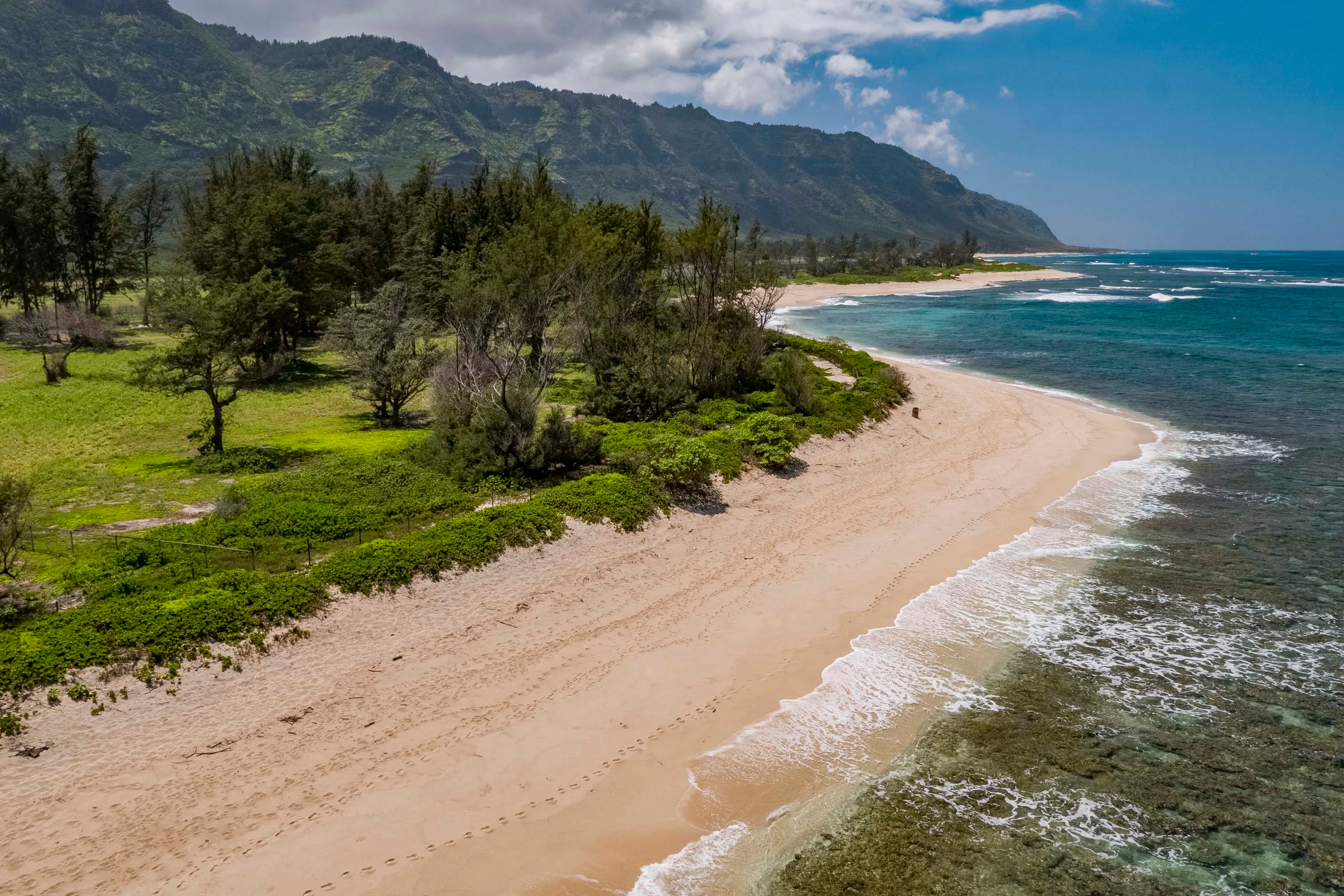 131 Farrington Highway, North Shore, Oahu, Hawaii 96791 - 131-farrington-highway-waialua-hawaii12_yregpu