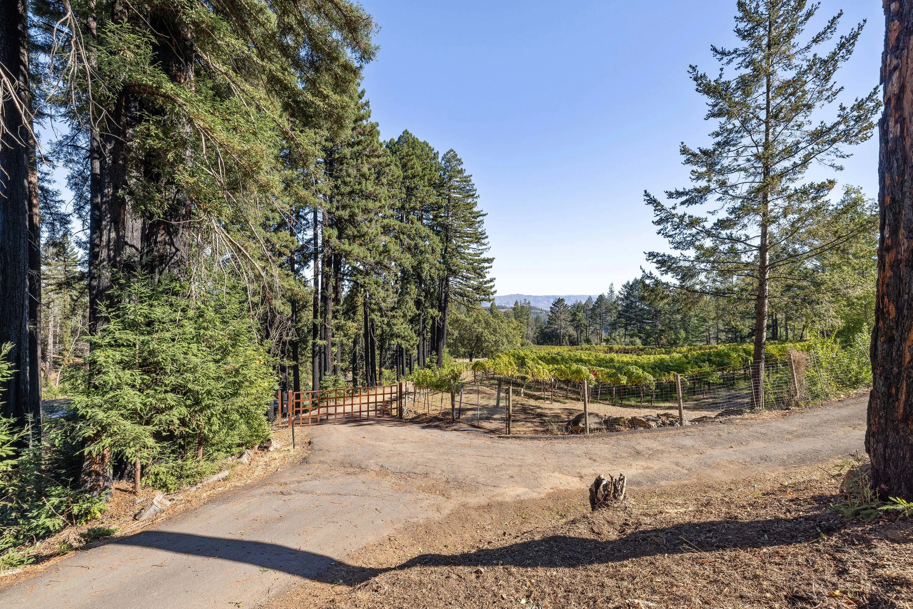 3390 Mount Veeder Road, Mount Veeder, Napa Valley, California 94558 - 28_3390_Mount_Veeder_Road_m6gvfd