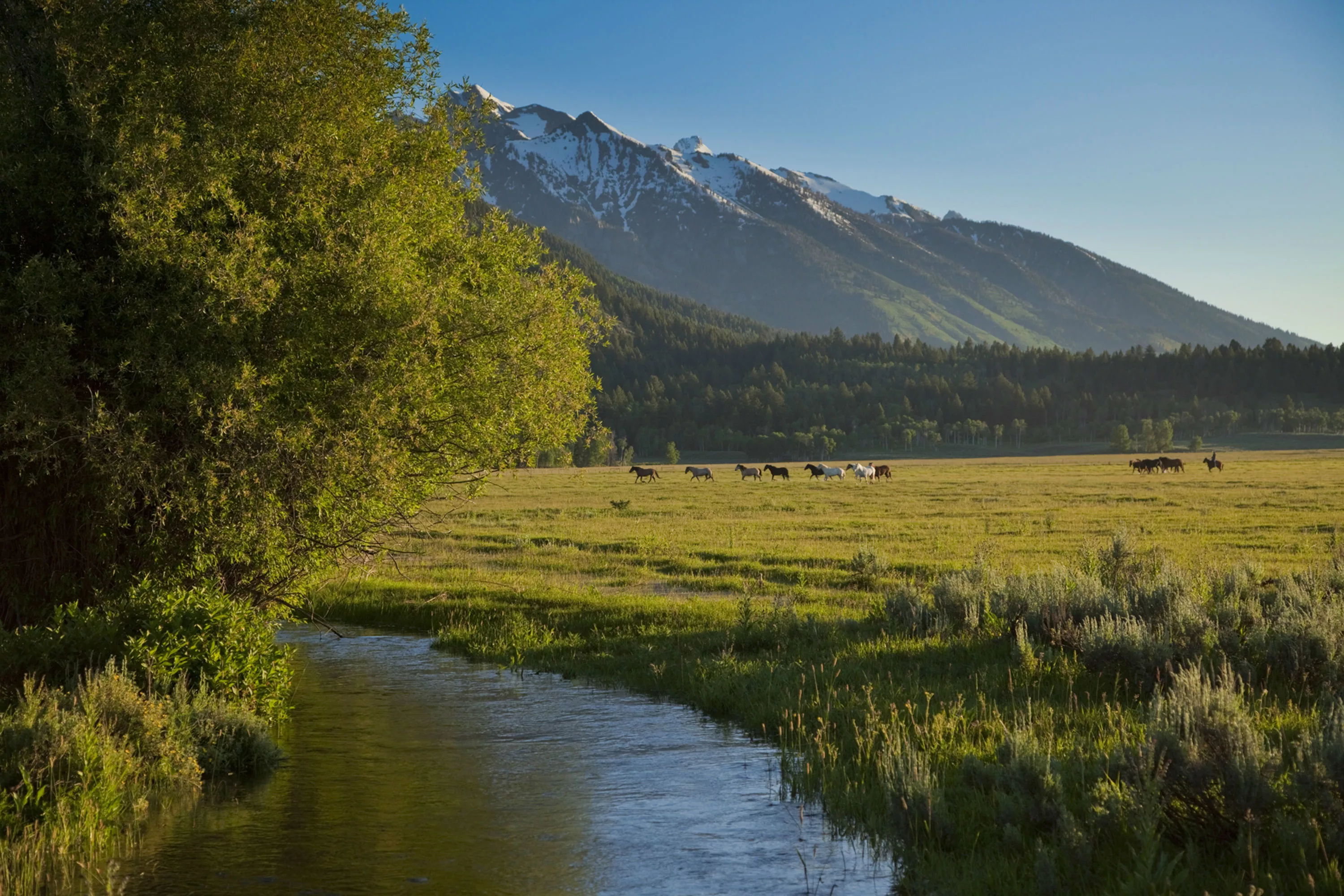 7555 Moose-Wilson Road, Jackson Hole, Wyoming 83025 - gg070911344_ogidb3