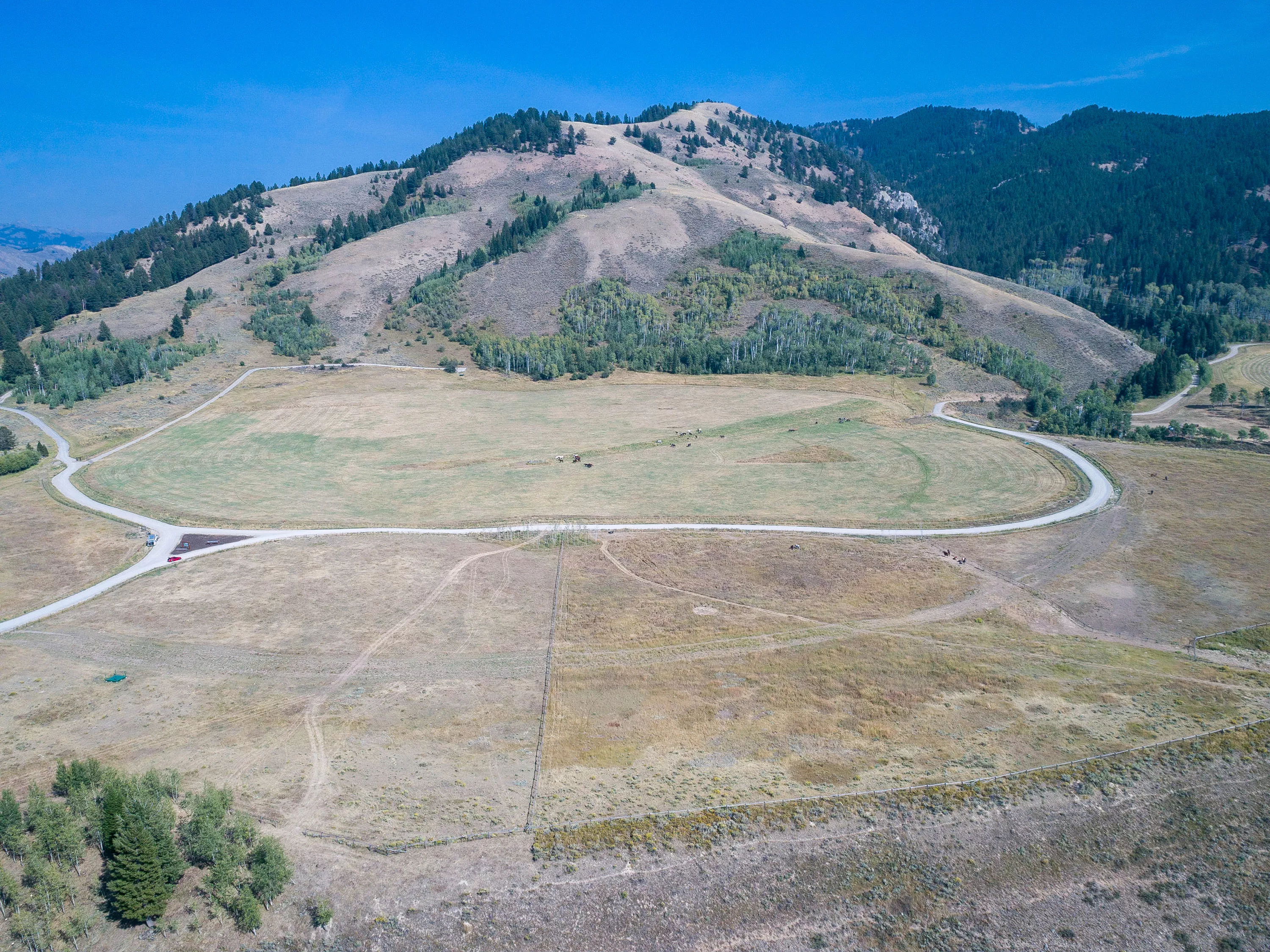 985 Elk Ridge Road, Jackson Hole, Wyoming  - 985_Elk_Ridge_Road_11_cwzgrb