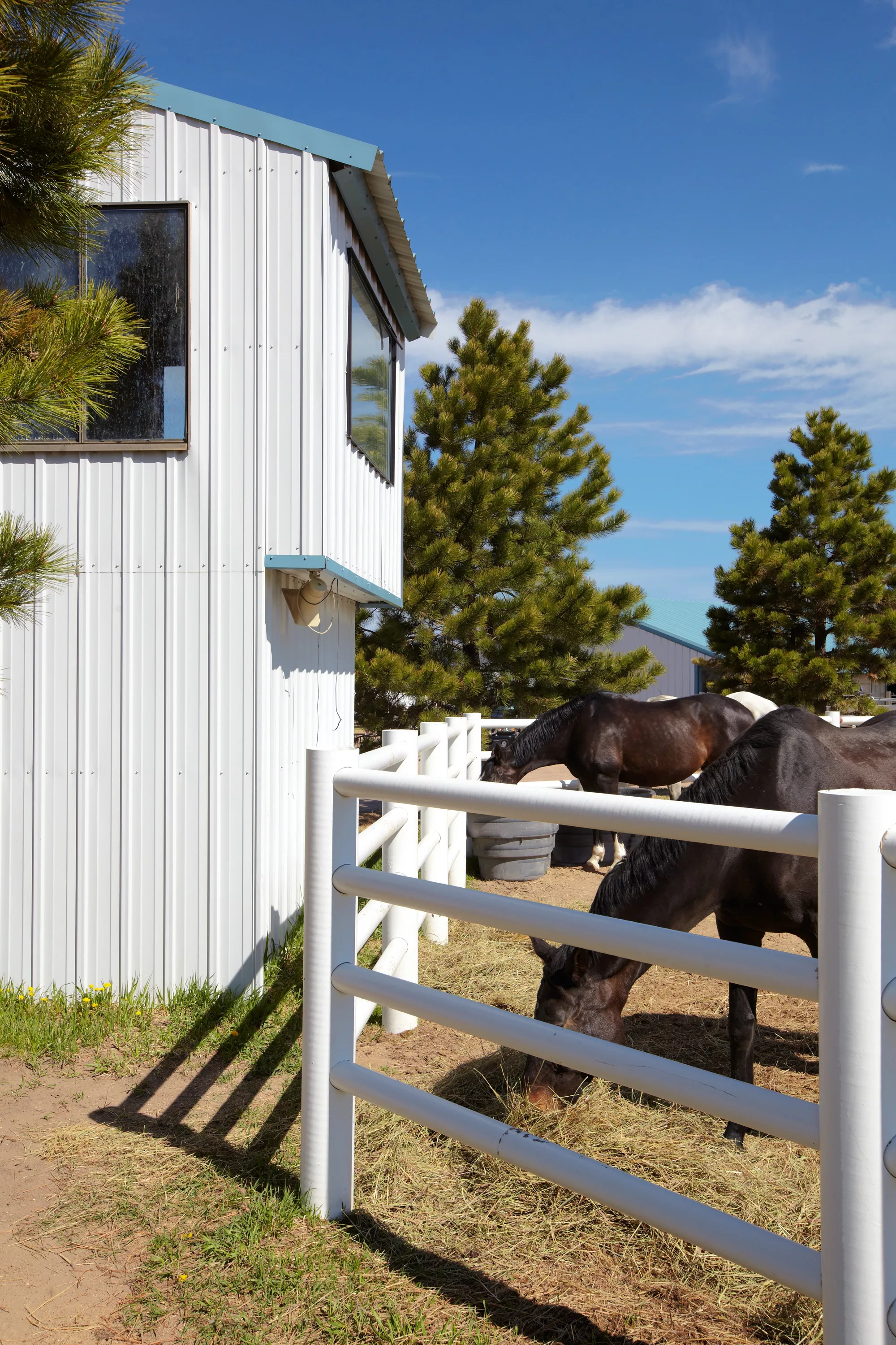 18980 Shiloh Ranch Rd, Colorado Springs, Colorado 80908 - shiloh-ranch-18980-shiloh-ranch-rd-colorado-springs-co-luxury-real-estate-4_chnvbl