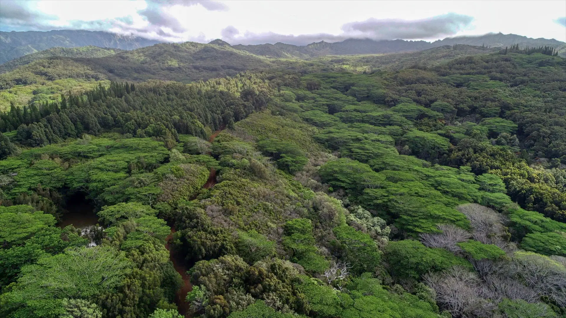 Imagine more than 317 lush acres on The Garden Island. At the Makali’i Plantation, luxuriant palms, banyans, and emerald green grasses gently slope towards the brilliant blue Pacific Ocean. Revel in sunrise and sunset and savor some of the best swimming, 
