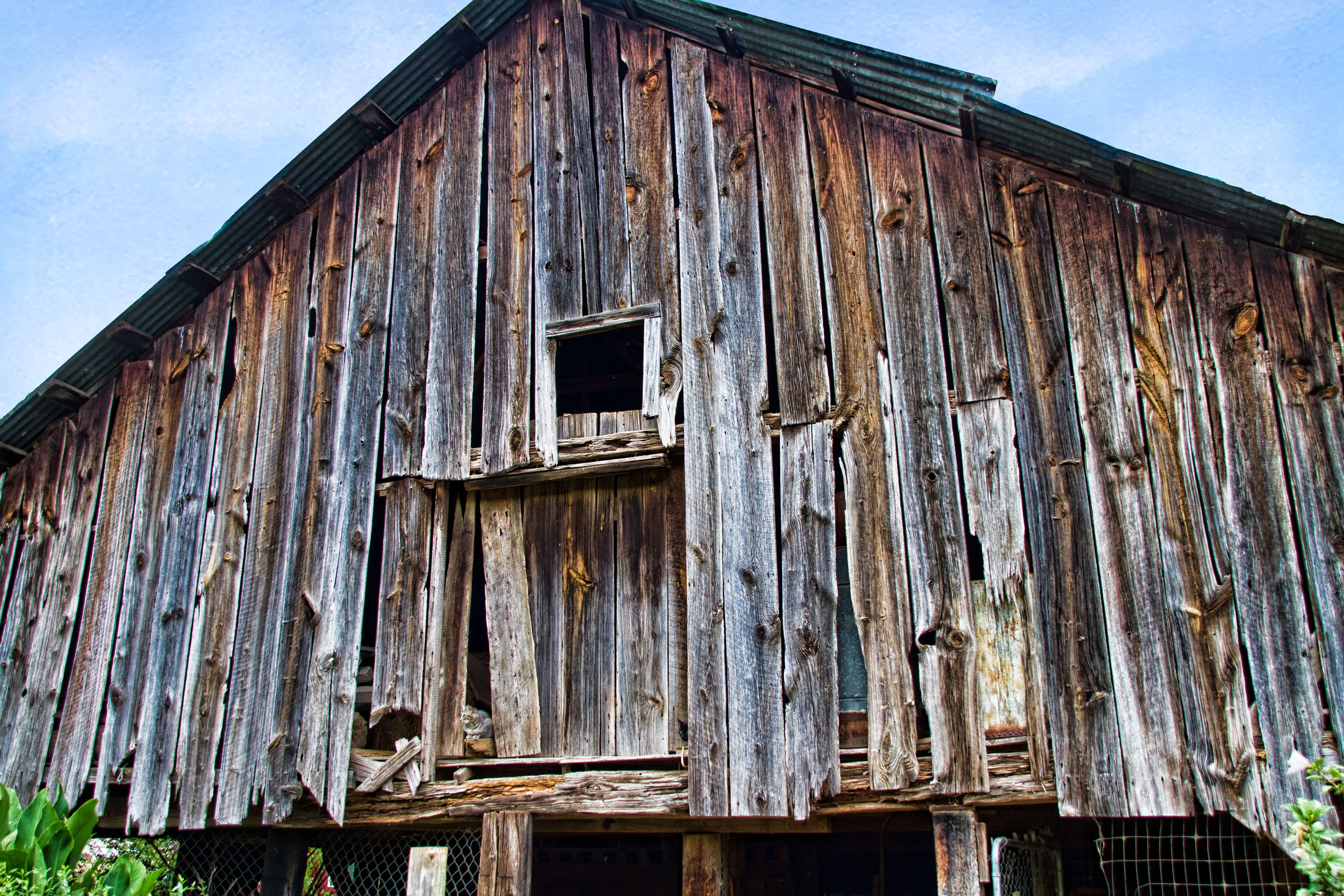 1444 CR 1125, Daingerfield, Texas 75638 - the-greer-farm-1444-cr-1125-daingerfield-tx-08-23-14-50-5050_t1yzsu