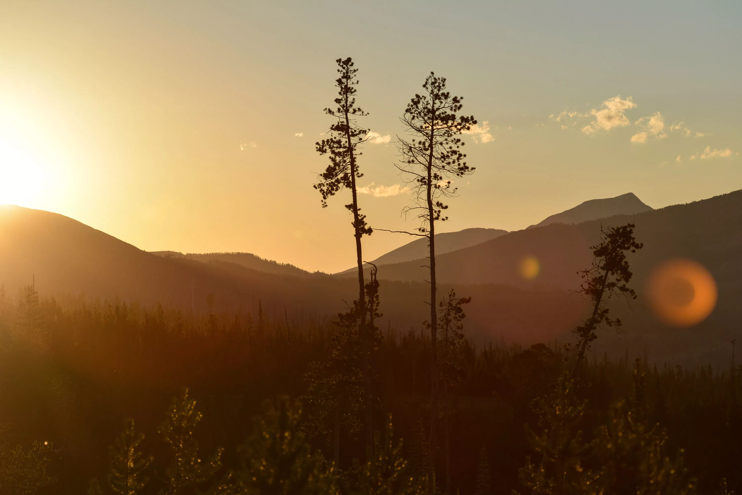 Yellowstone Preserve, Big Sky, Montana  - yellowstone-preserve-big-sky-mt-dunraven_07_ralaq9