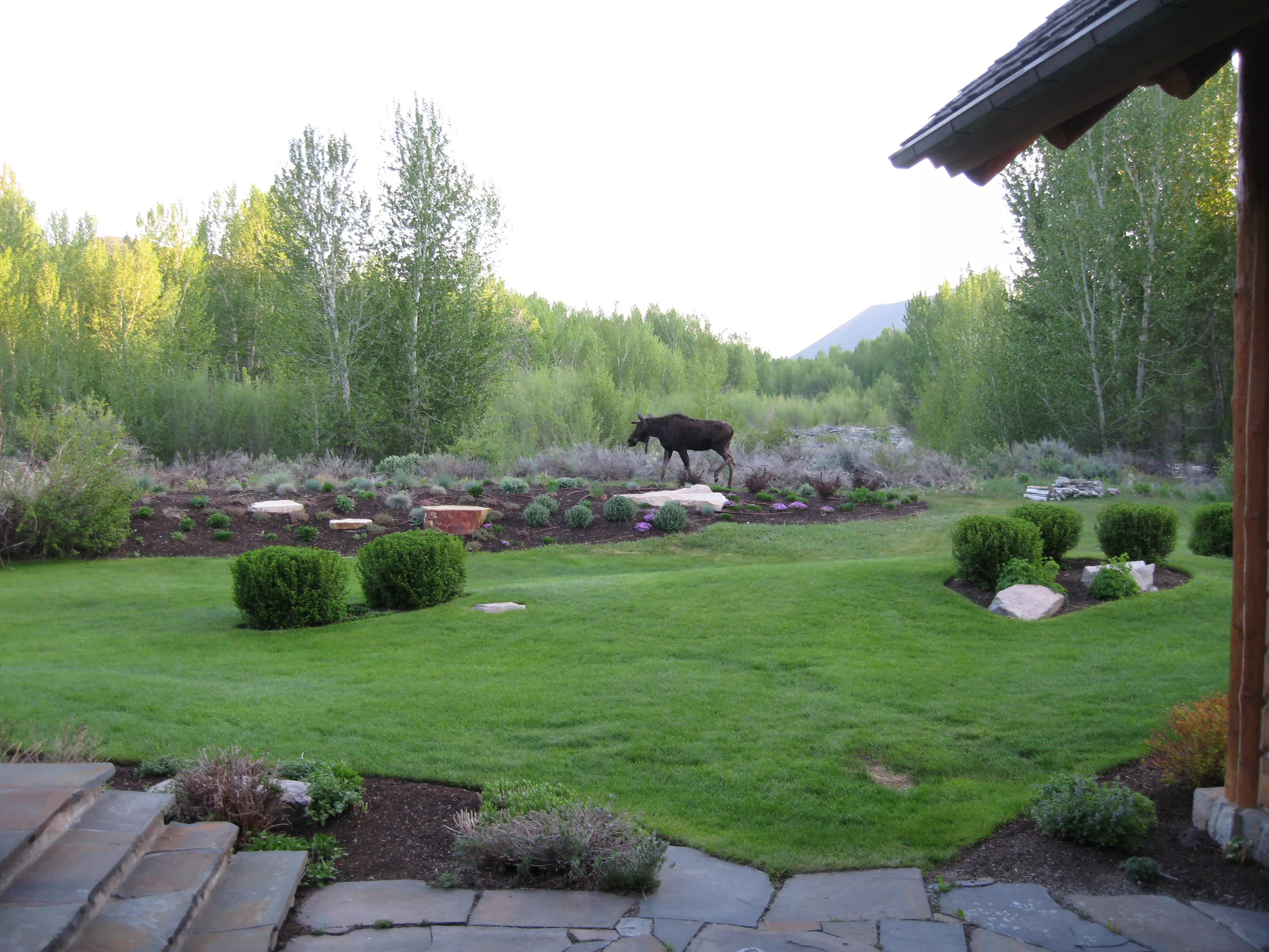 30 & 32 Osprey Lane, Hailey, Idaho 83333 - the-wood-river-valley-preserve-sun-valley-id-luxury-real-estate-25_hsuqny